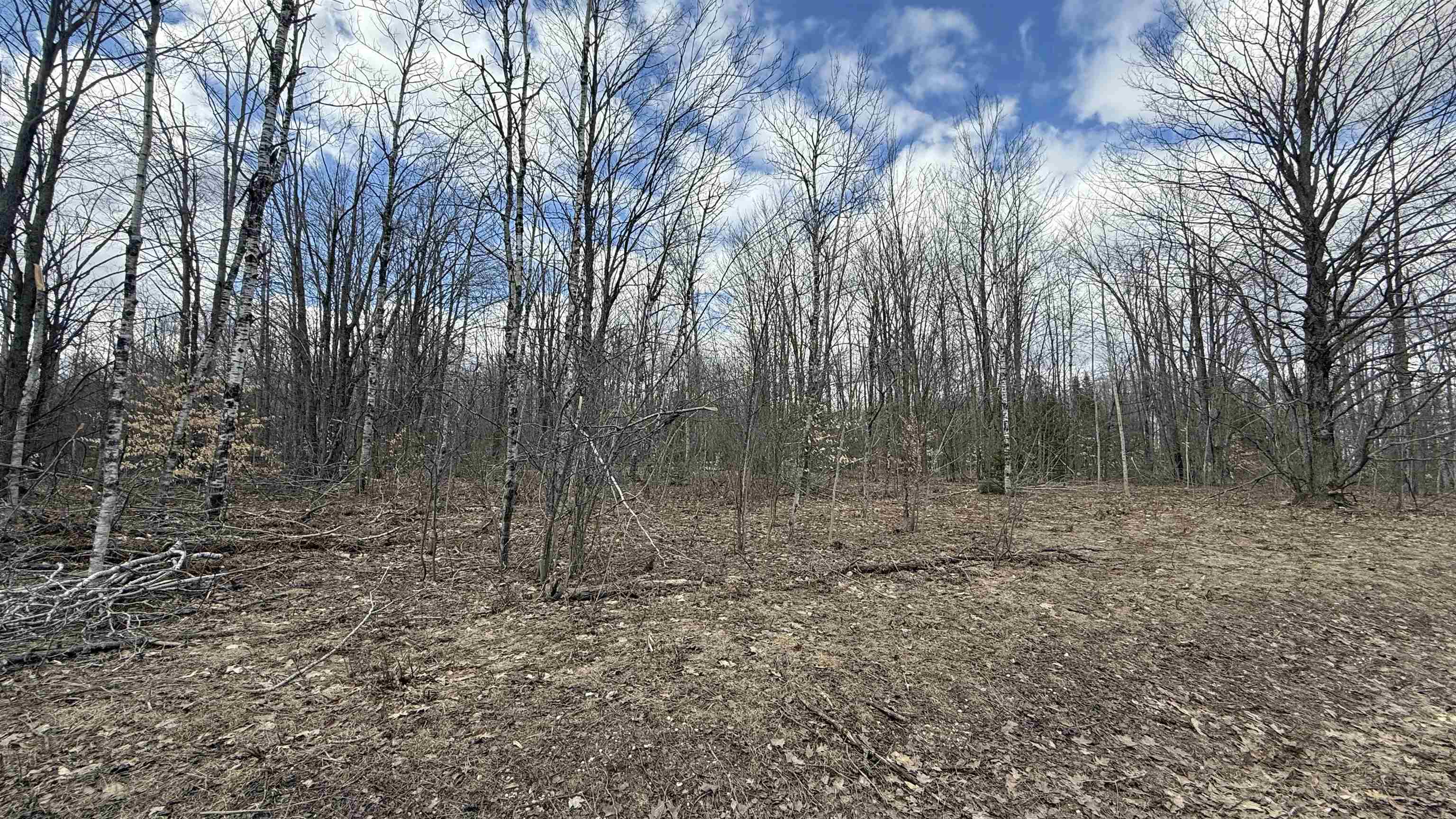 Lot 857 Hollyglen Drive Property Photo 5