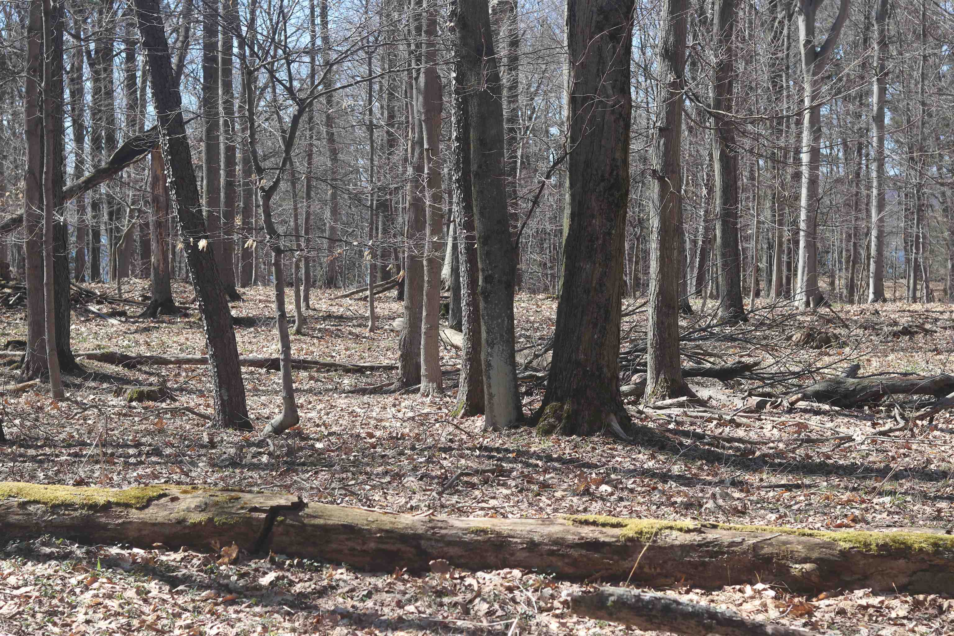 Lot 4 Crystal View Commons Property Photo 5