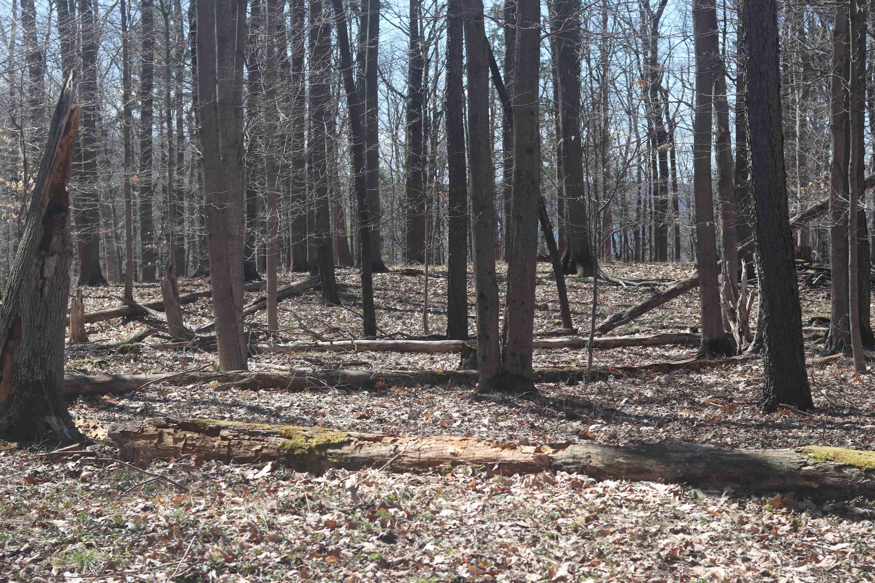 Lot 4 Crystal View Commons Property Photo 6