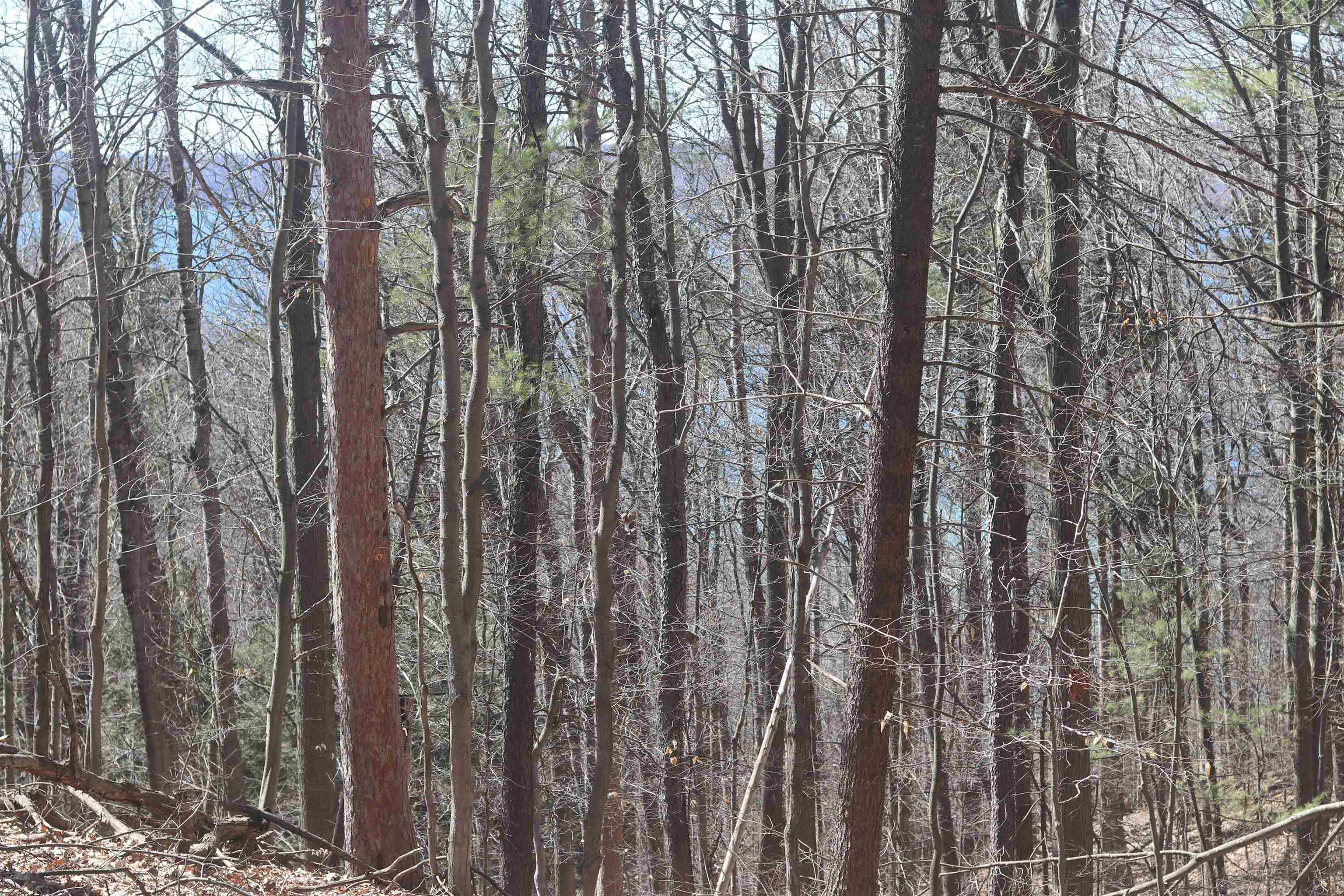 Lot 4 Crystal View Commons Property Photo 7