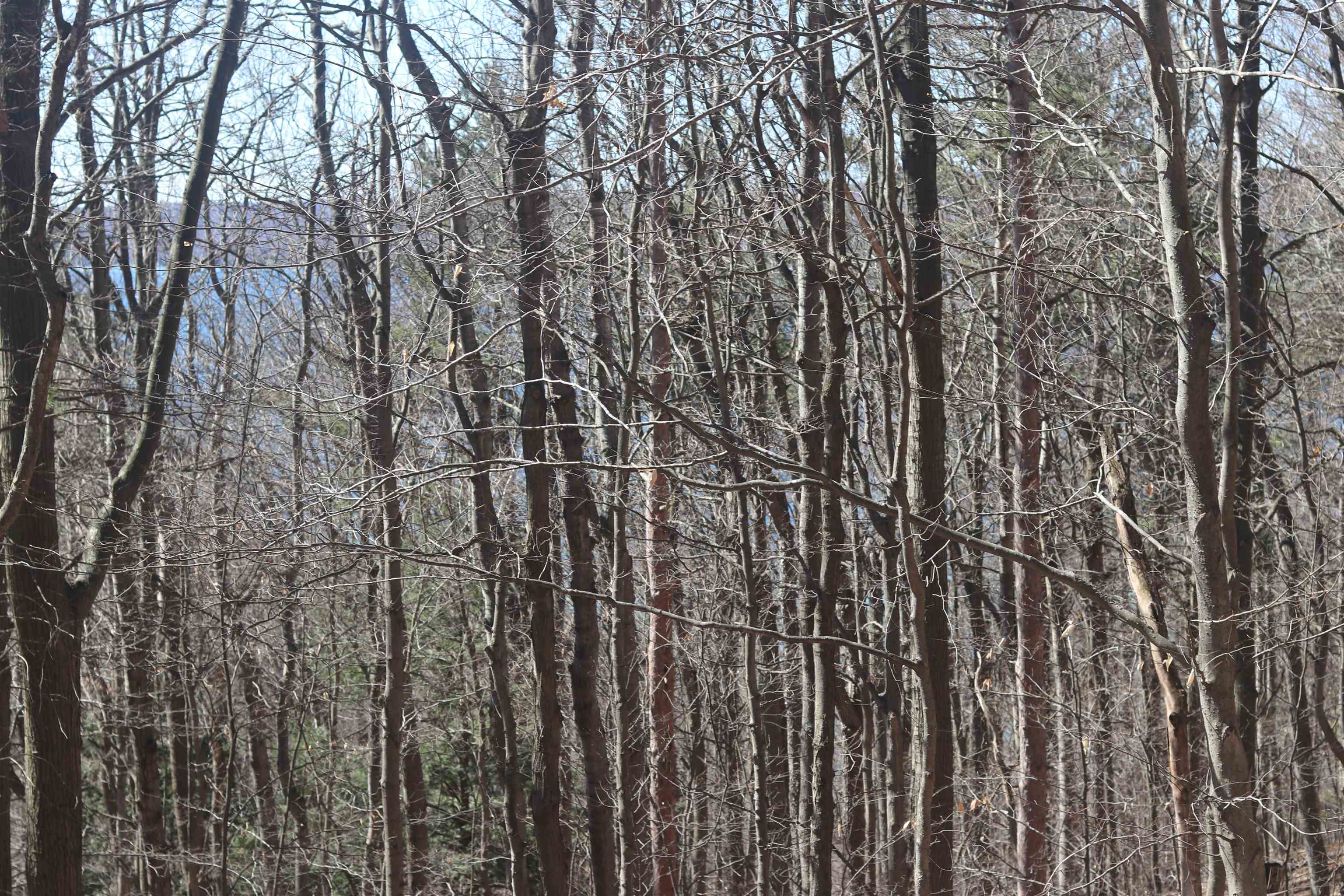 Lot 4 Crystal View Commons Property Photo 9