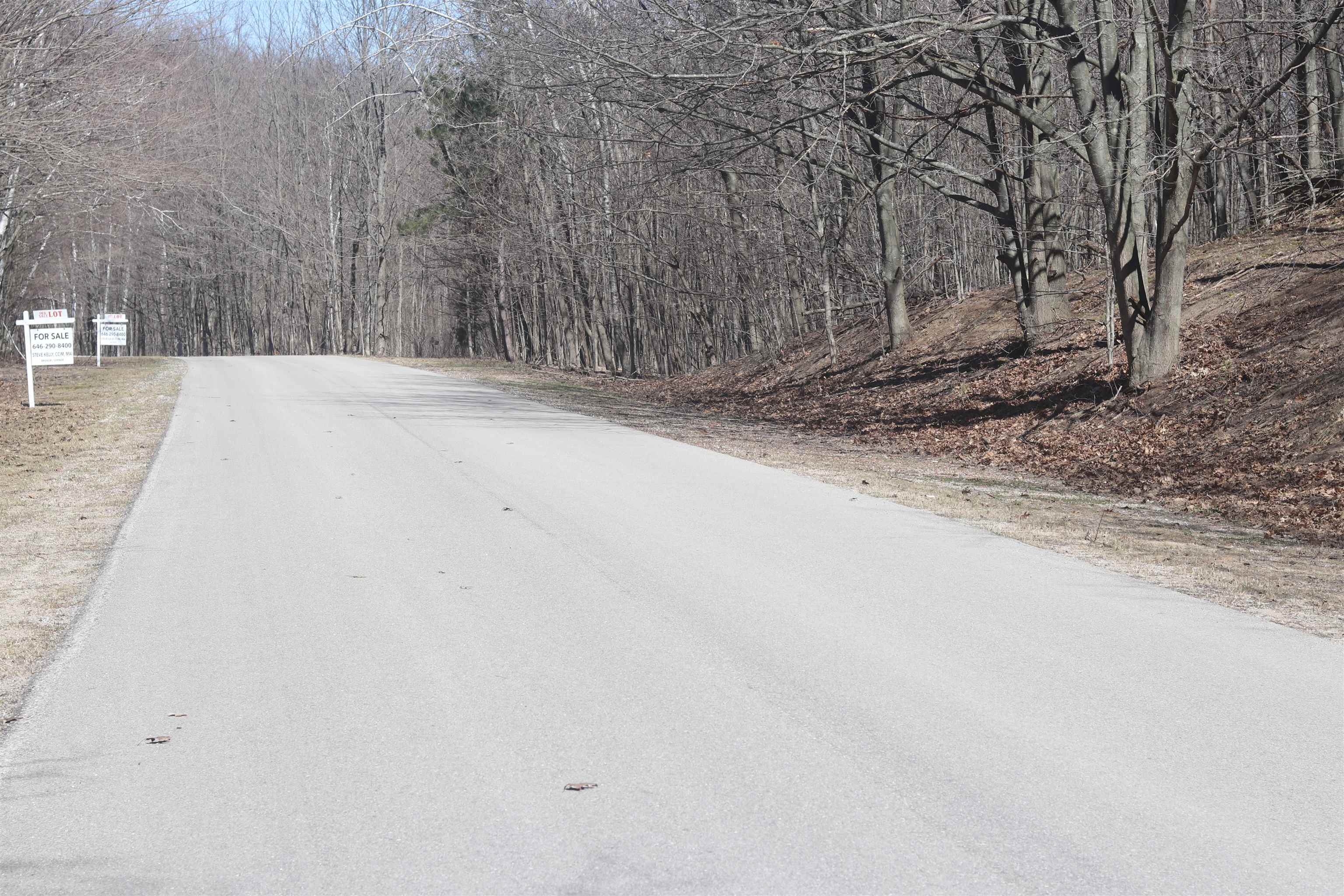 Lot 19 Crystal View Commons Property Photo 1