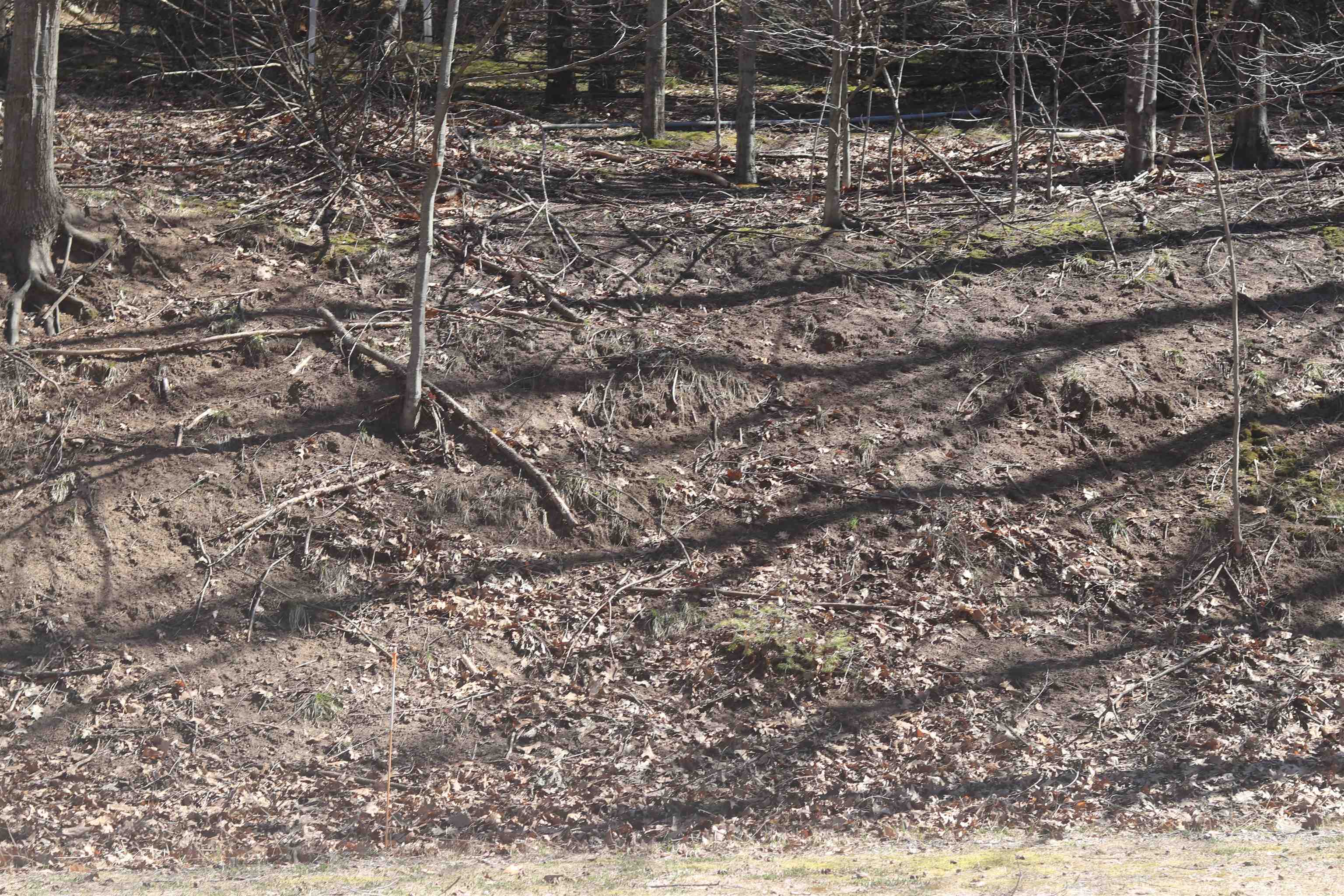 Lot 19 Crystal View Commons Property Photo 3