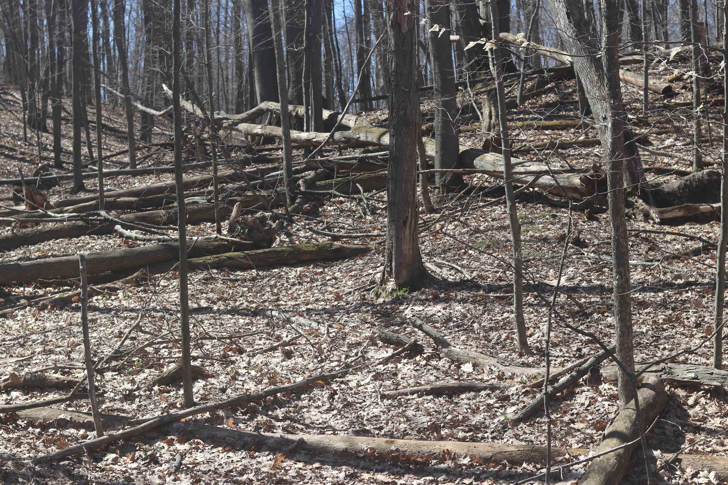 Lot 19 Crystal View Commons Property Photo 4