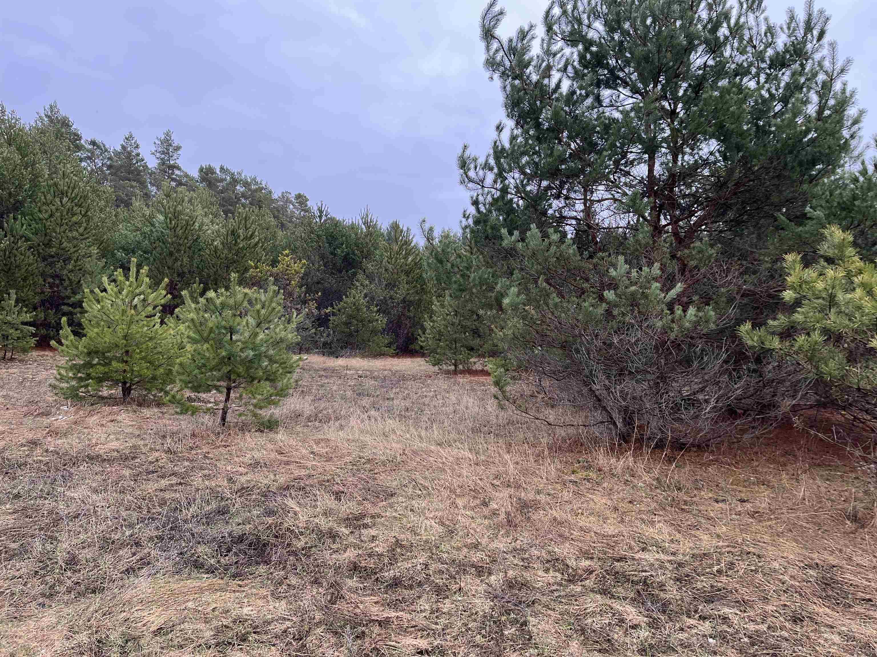10299 Levi Lane Property Photo 4