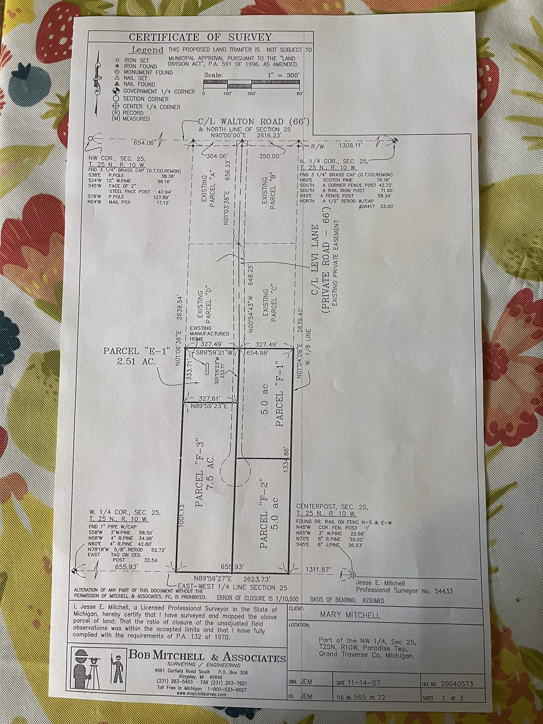 10299 Levi Lane Property Photo 6