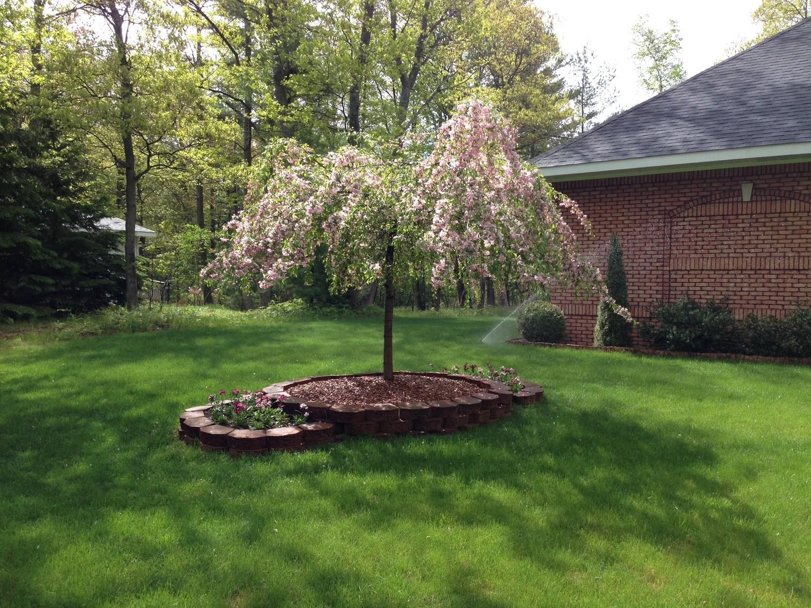4507 Gowen Road Property Photo 6