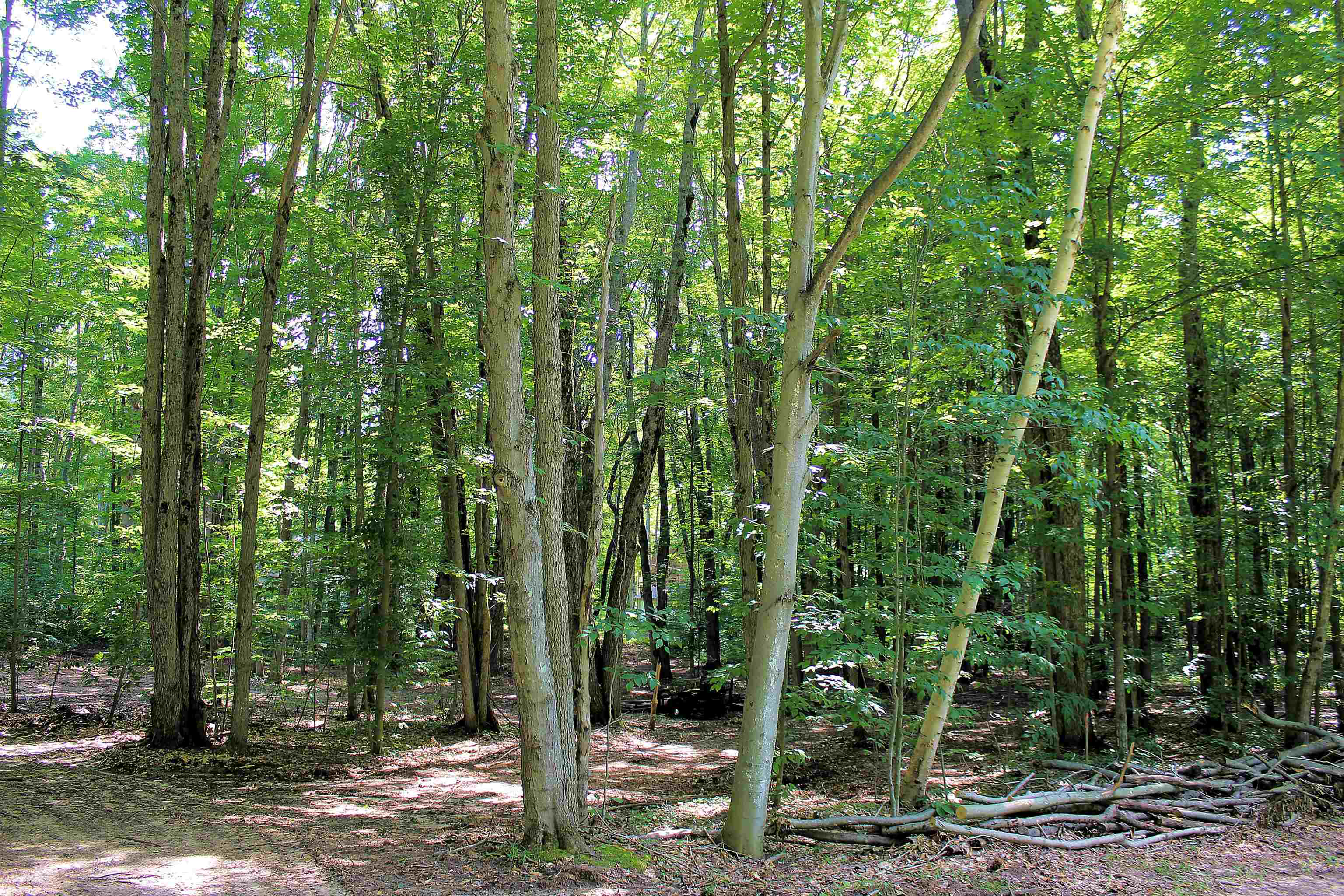 00 Ne Chwastek Road Property Photo 3