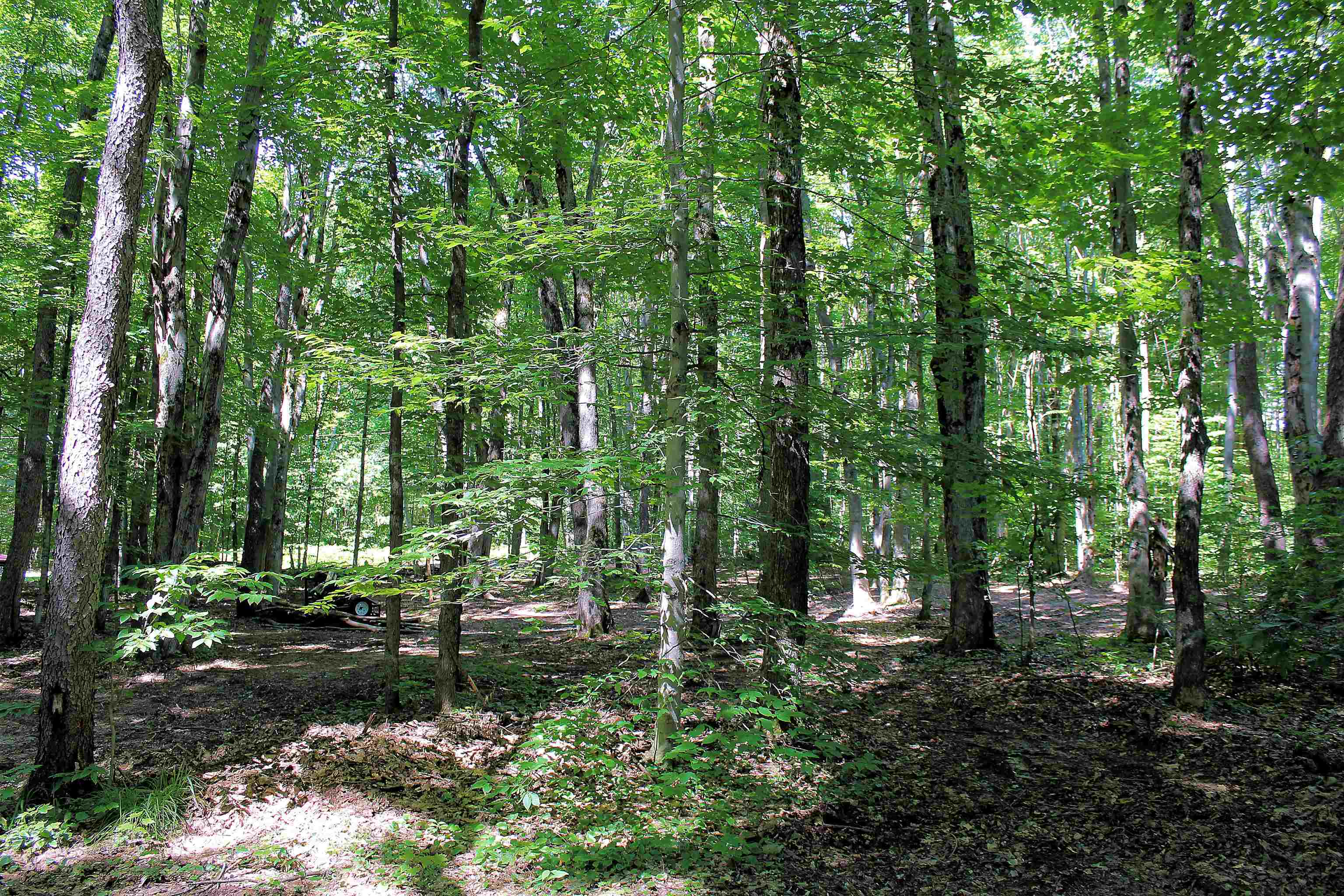 00 Ne Chwastek Road Property Photo 8
