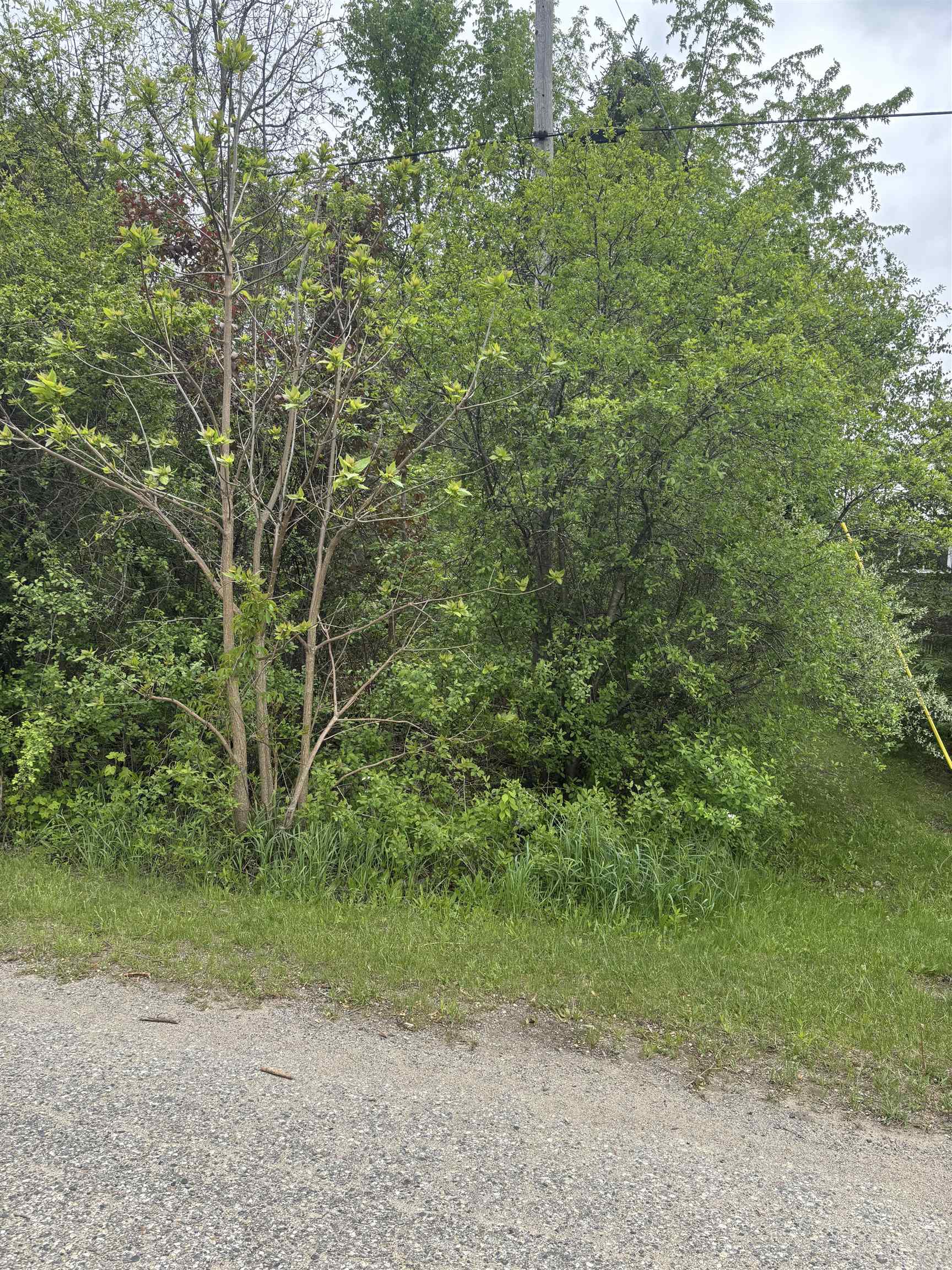 Lot 49 Leona Drive Property Photo 1