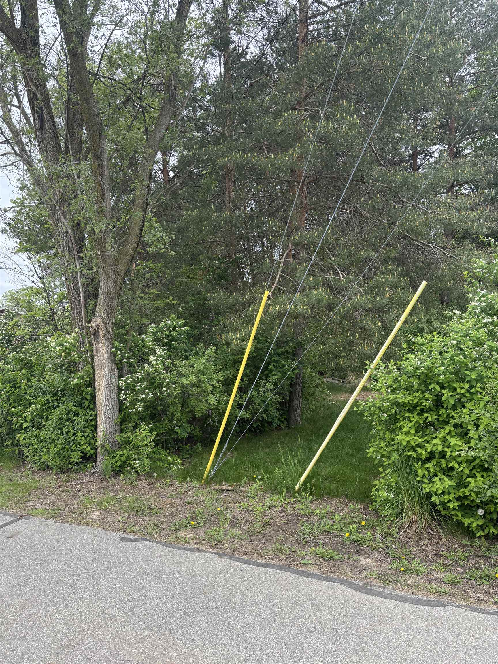 Lot 49 Leona Drive Property Photo 4