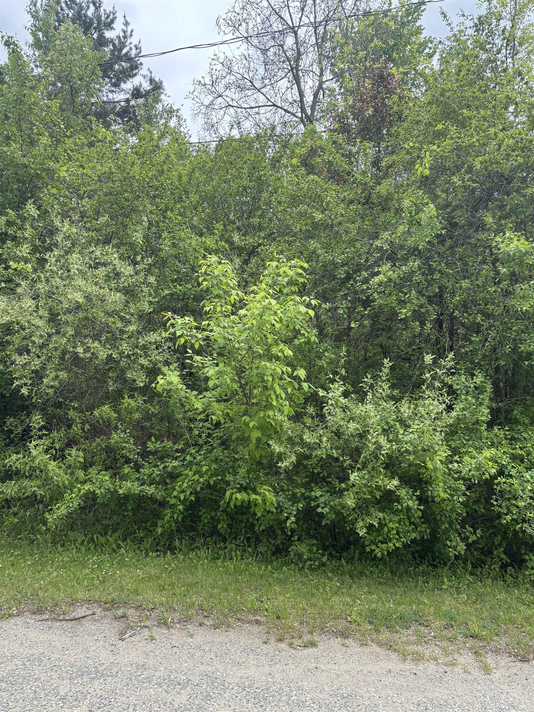 Lot 49 Leona Drive Property Photo 5