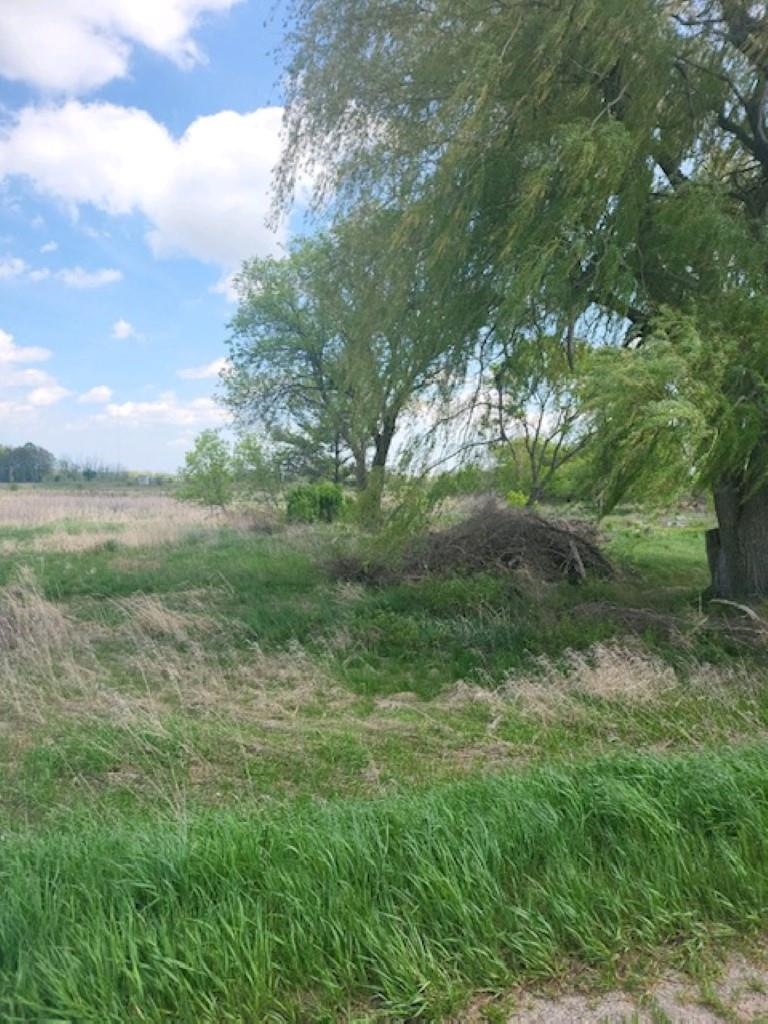 5229 Sage Lake Road Property Photo 6