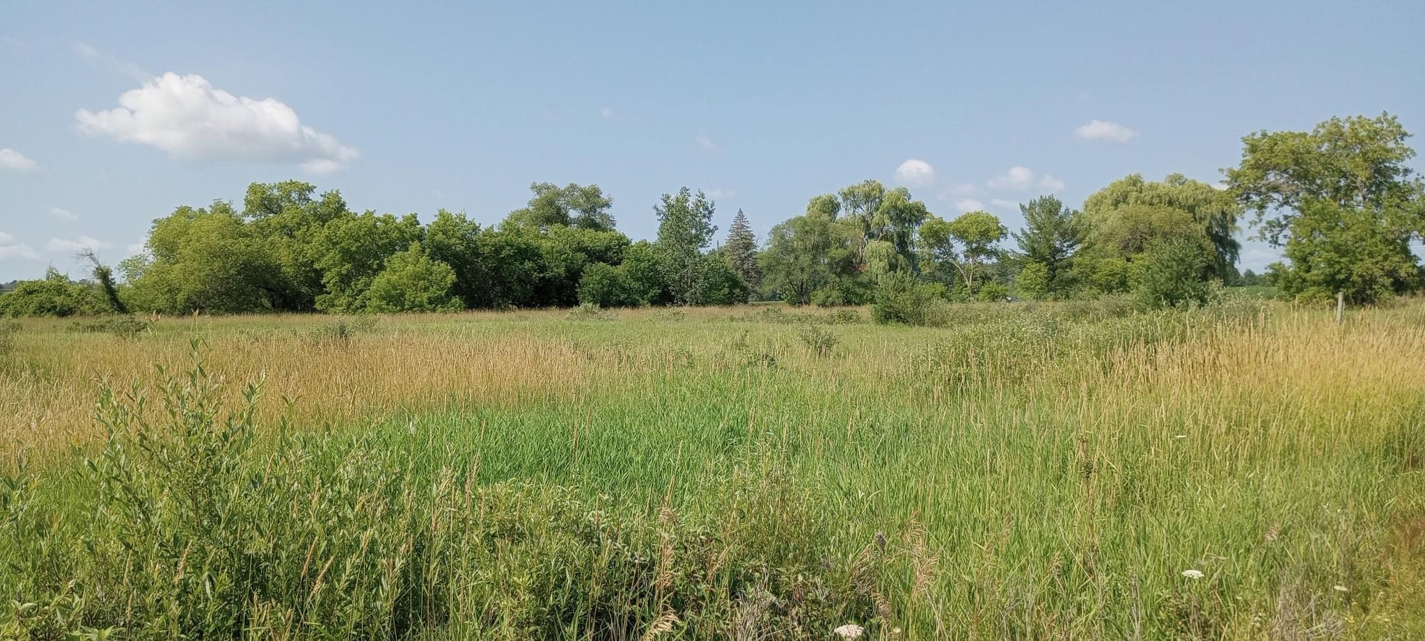 5229 Sage Lake Road Property Photo 11