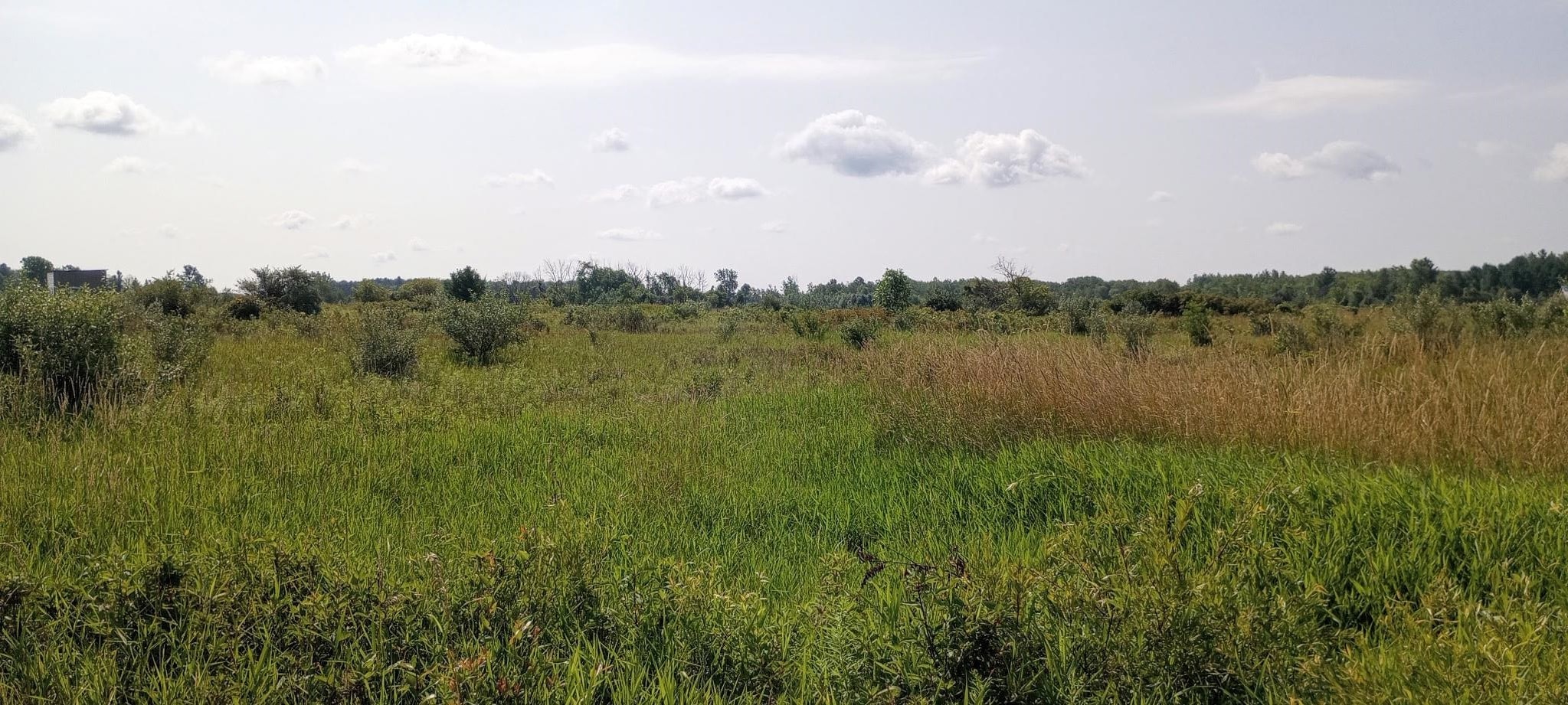 5229 Sage Lake Road Property Photo 12