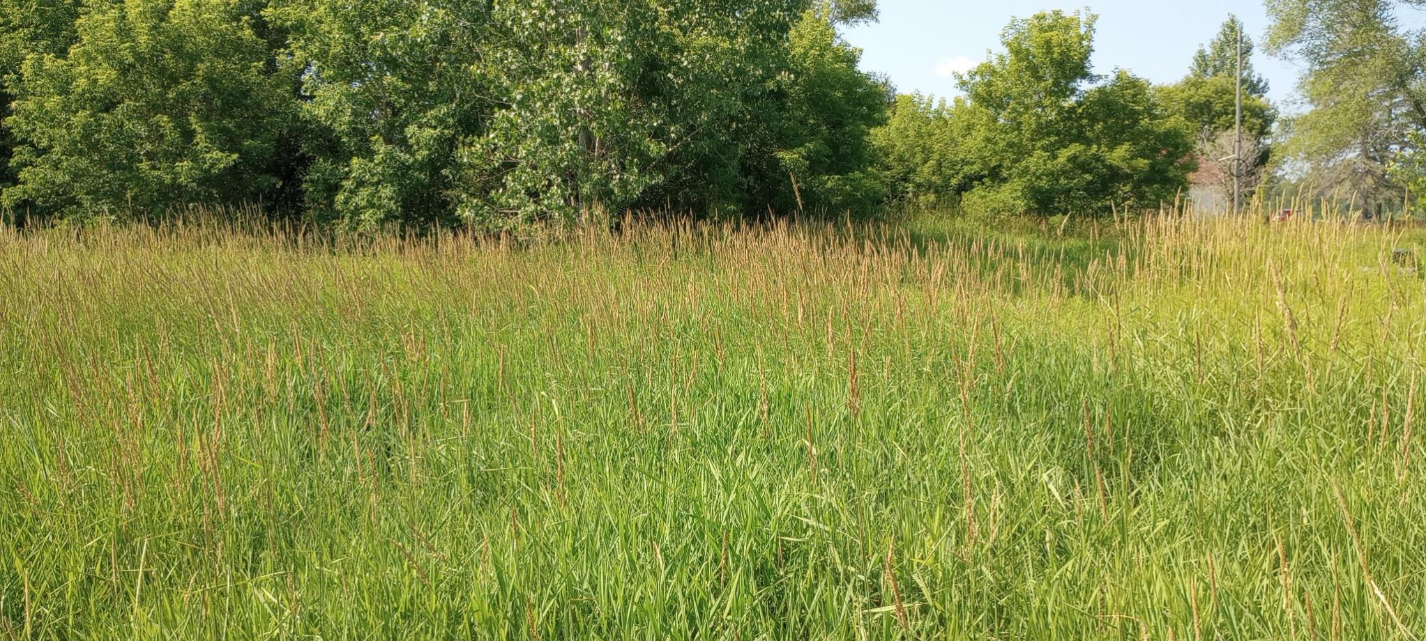 5229 Sage Lake Road Property Photo 16