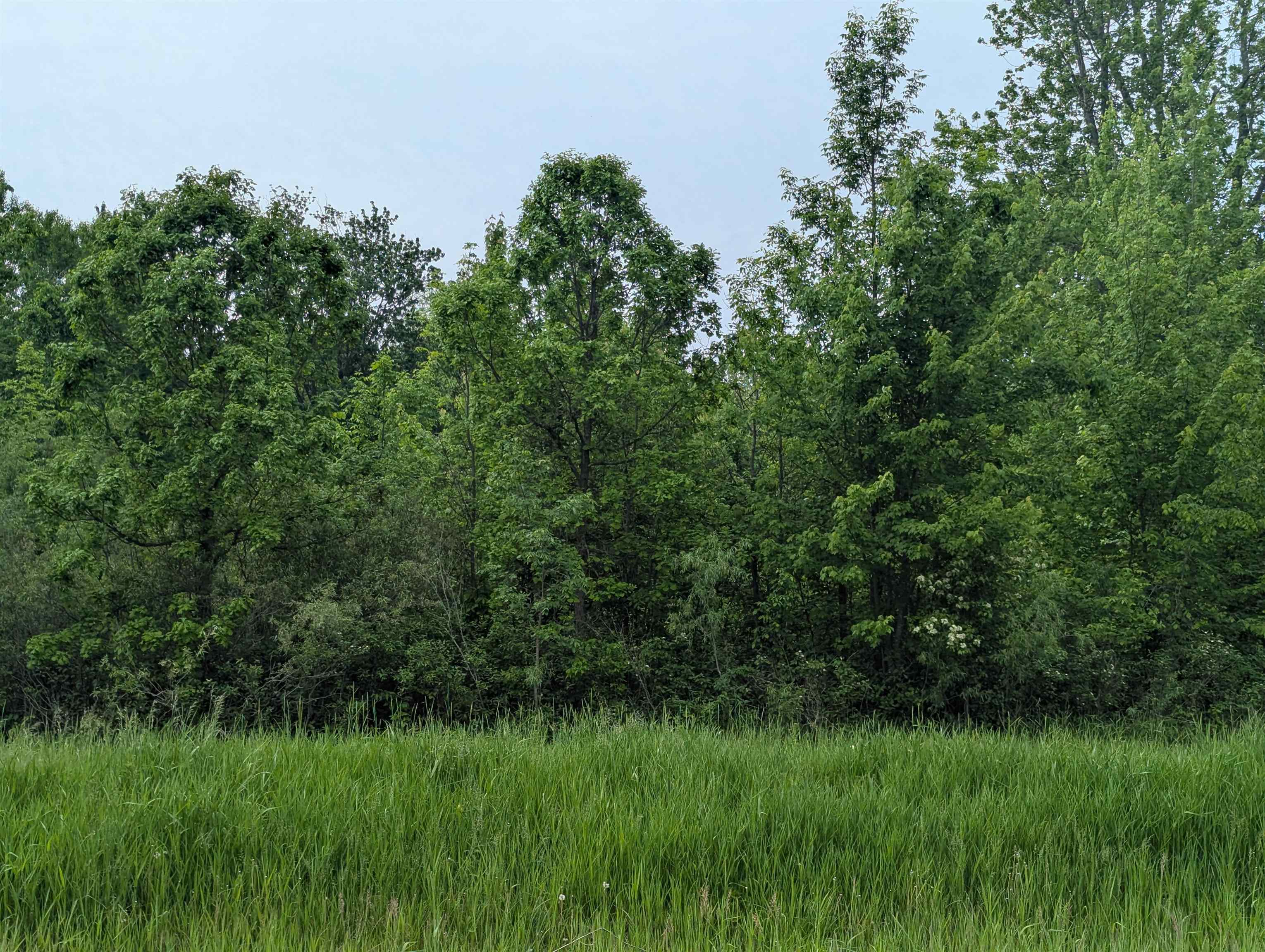 N/a Twining Road Property Photo 8