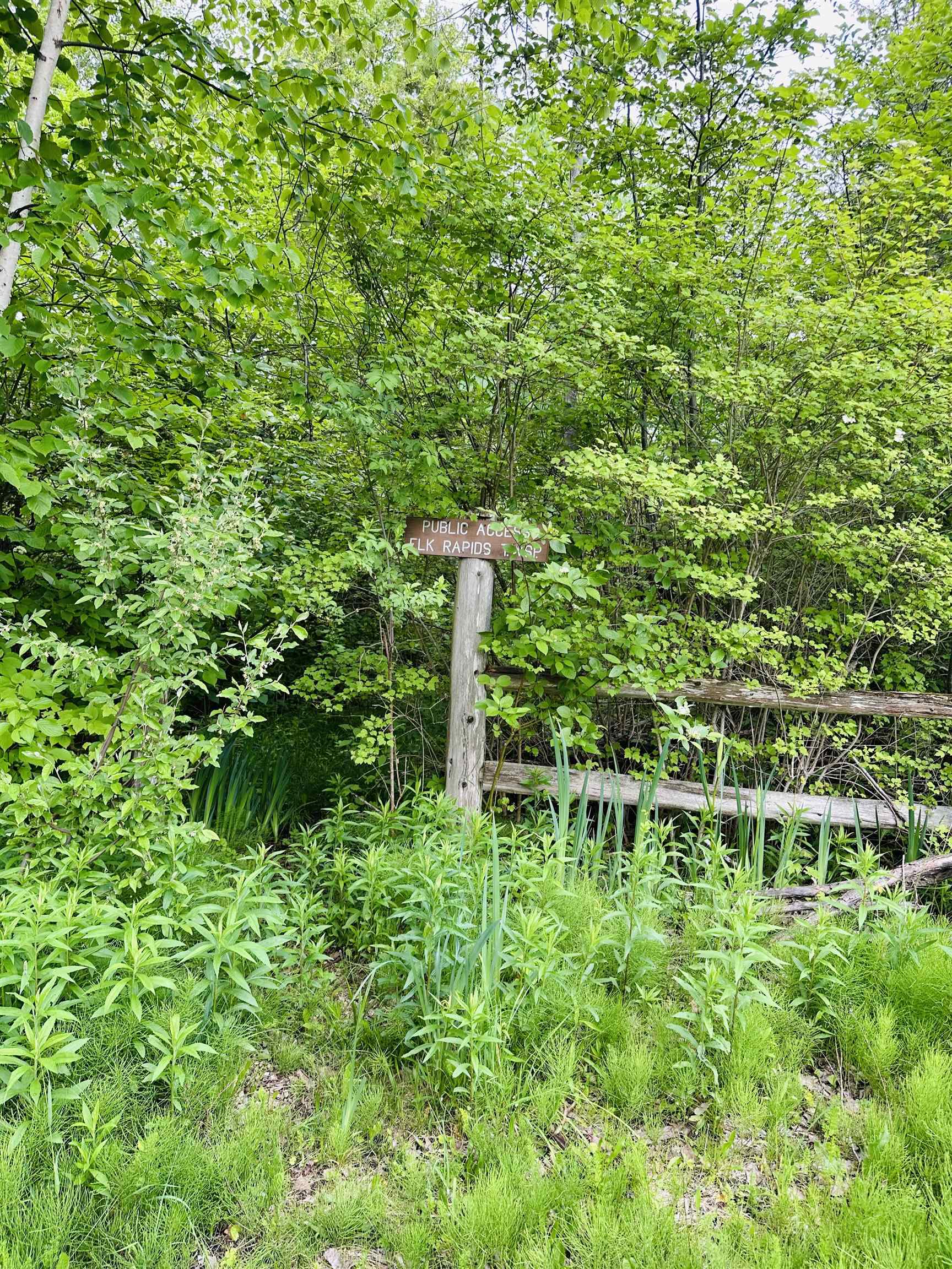0 Forest Drive Property Photo 4