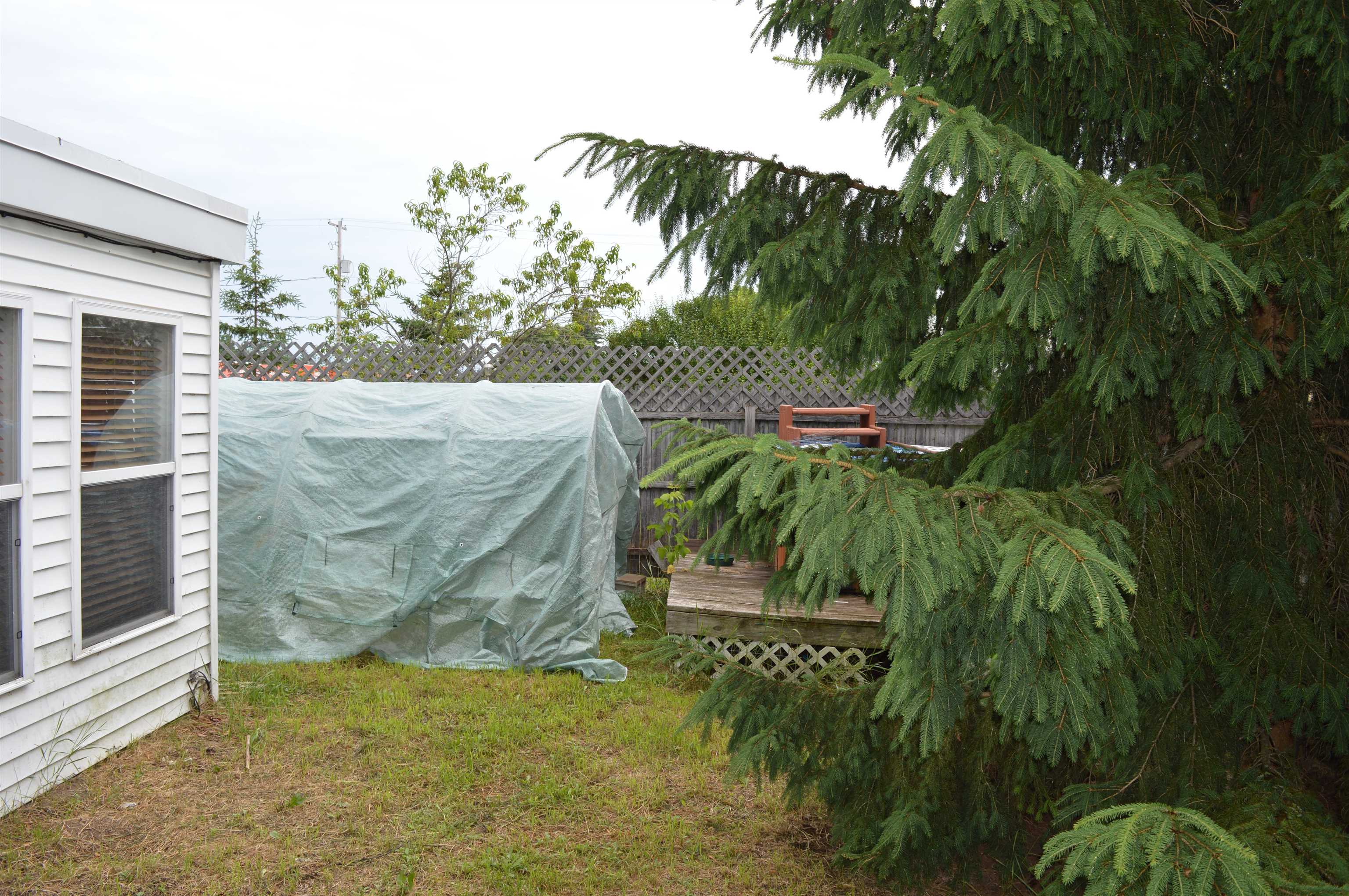 307 Maple Street Property Photo 25