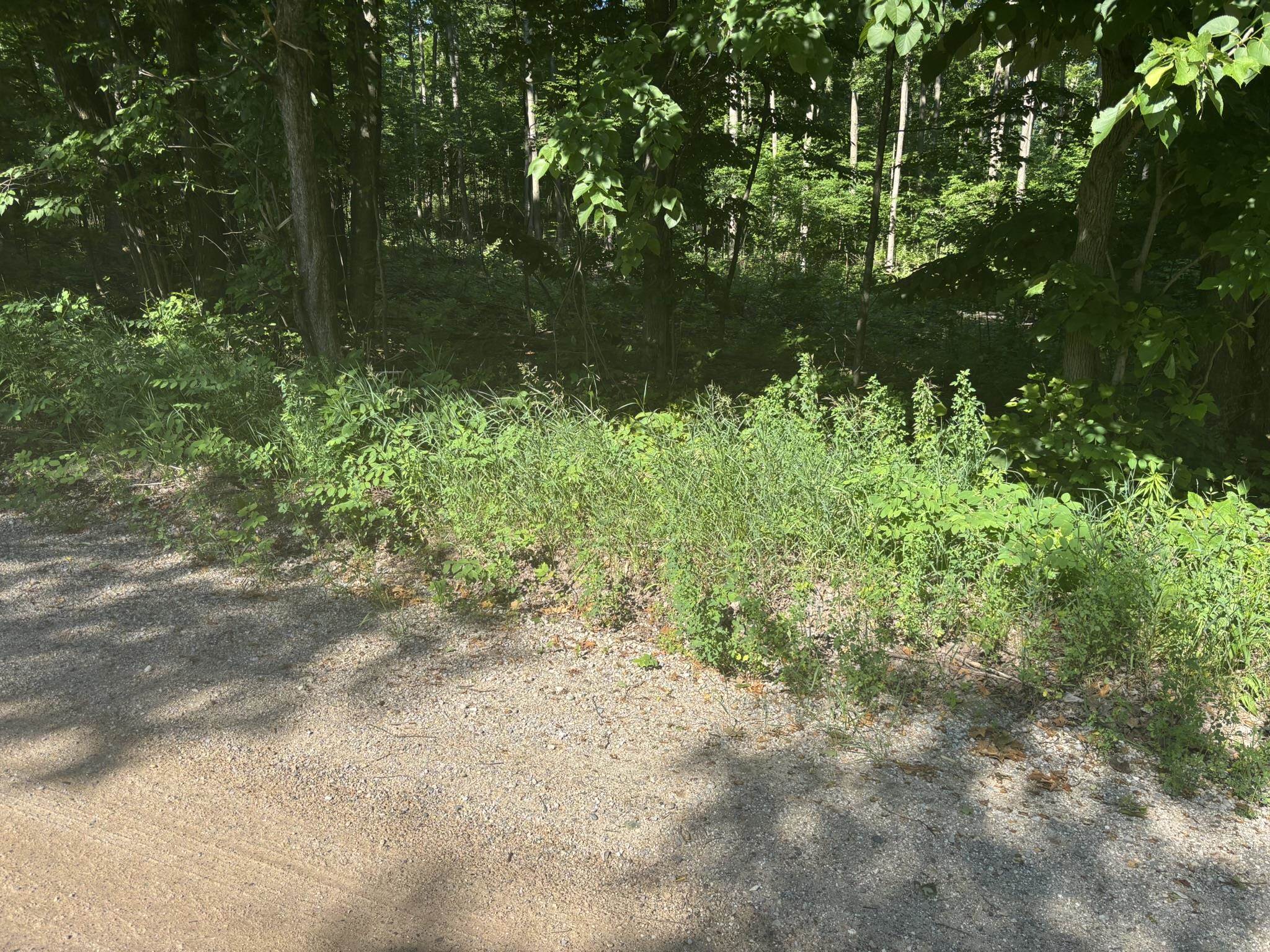 Vl Forward Property Photo 6