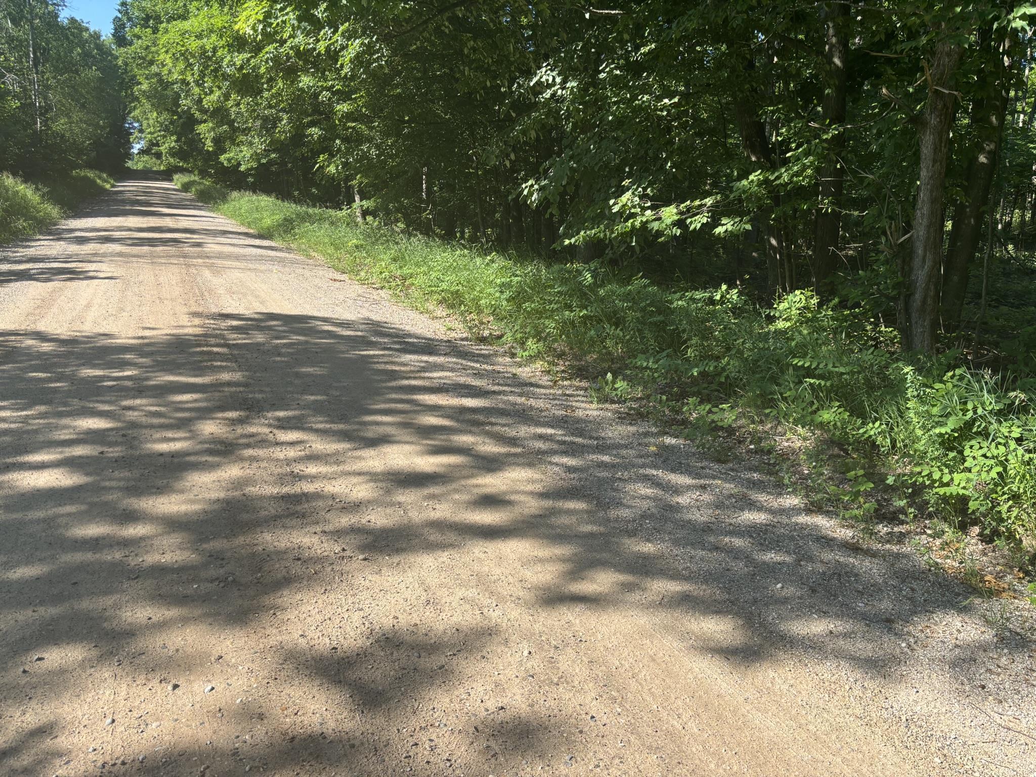 Vl Forward Property Photo 8