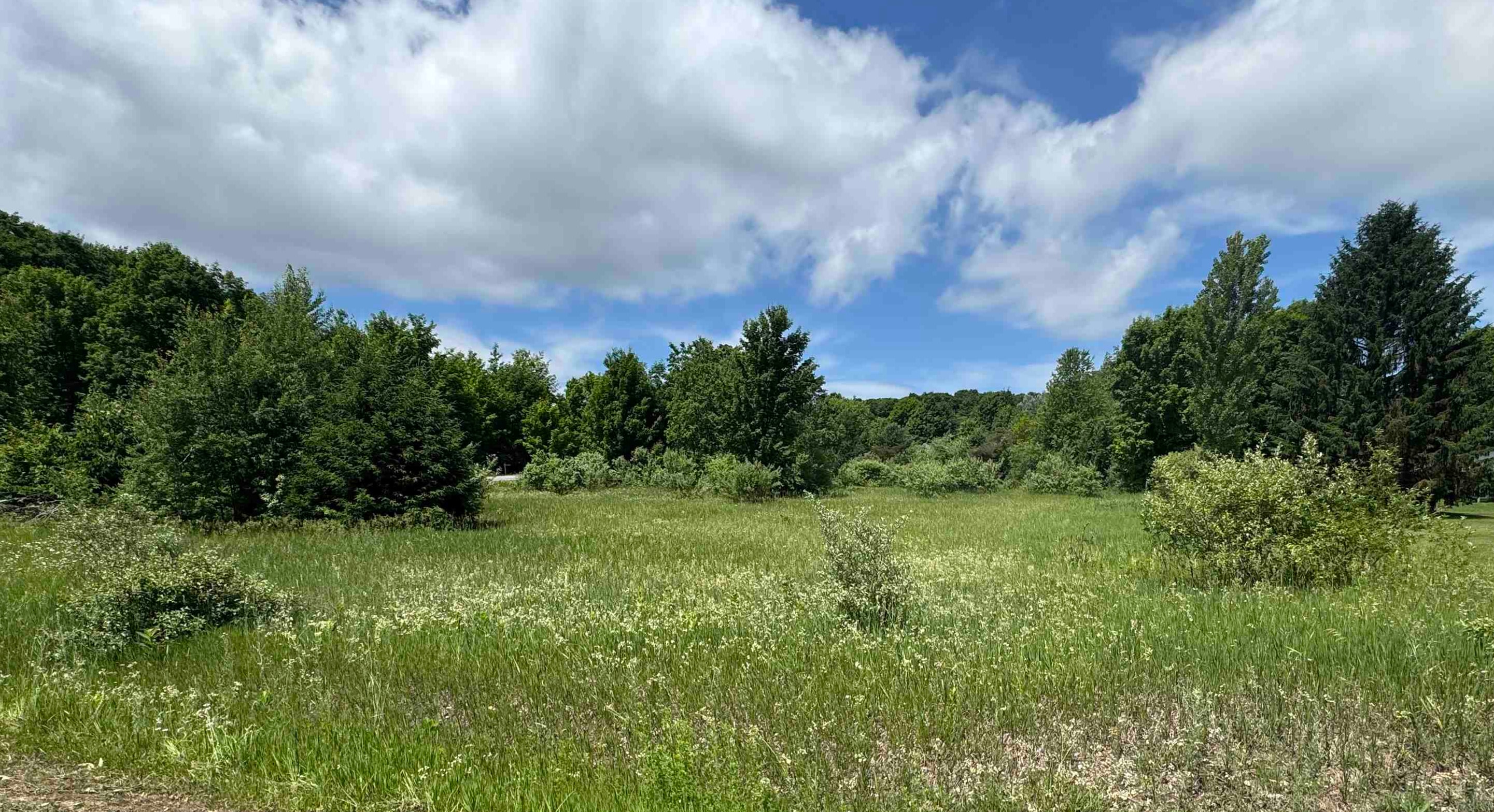 Lots 32 S Ski View Circle Property Photo 1