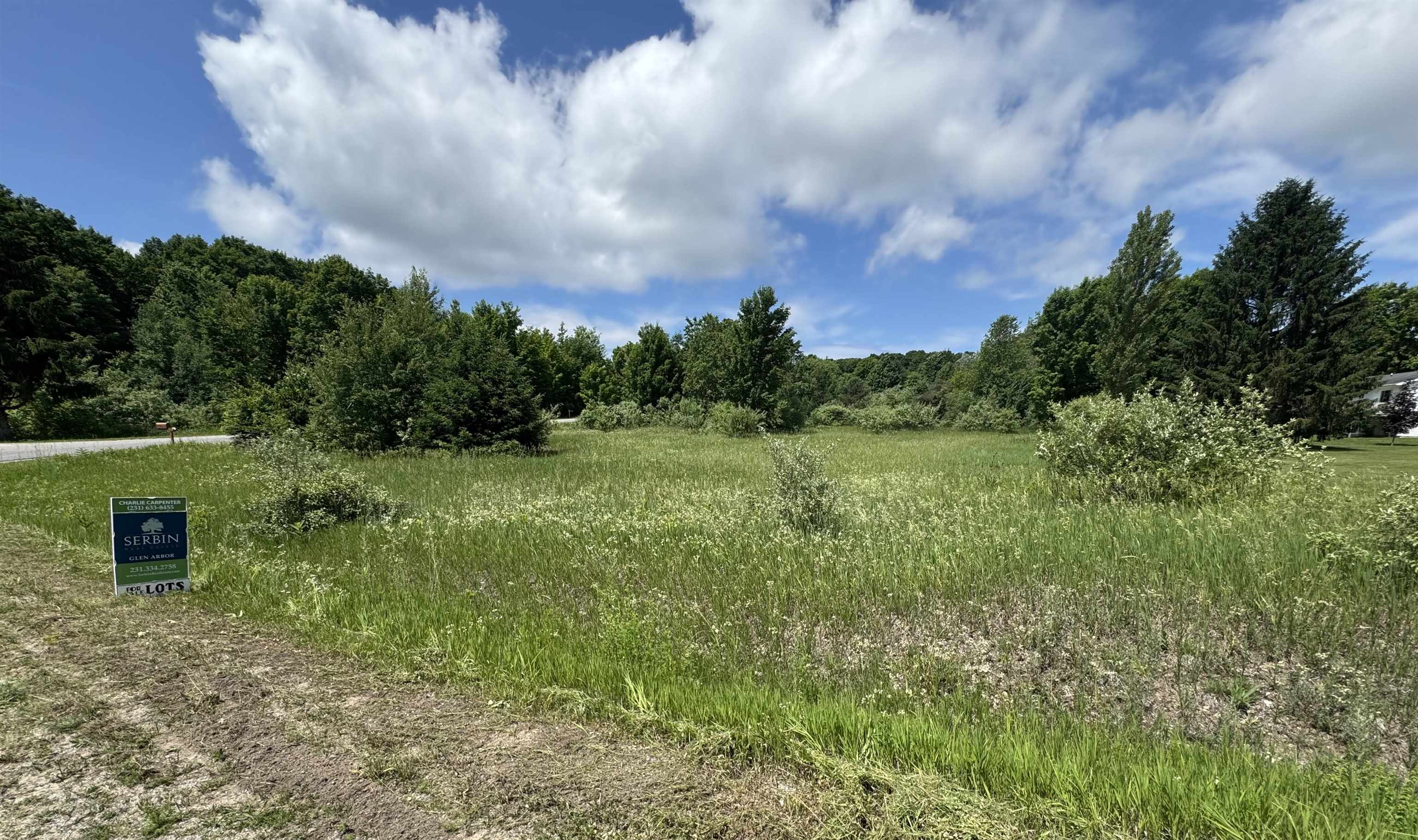 Lots 32 S Ski View Circle Property Photo 3