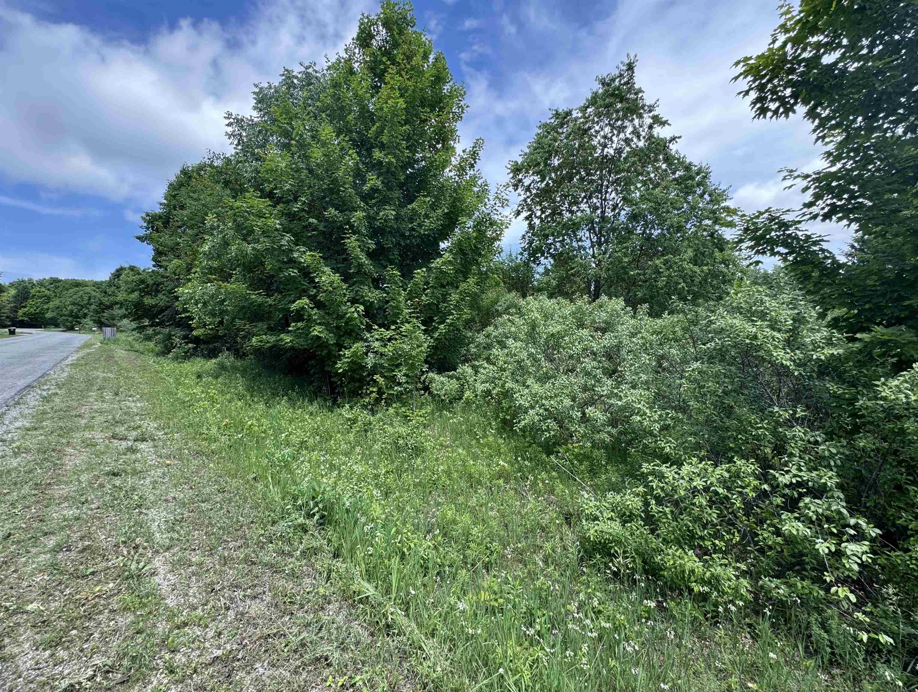 Lots 32 S Ski View Circle Property Photo 4