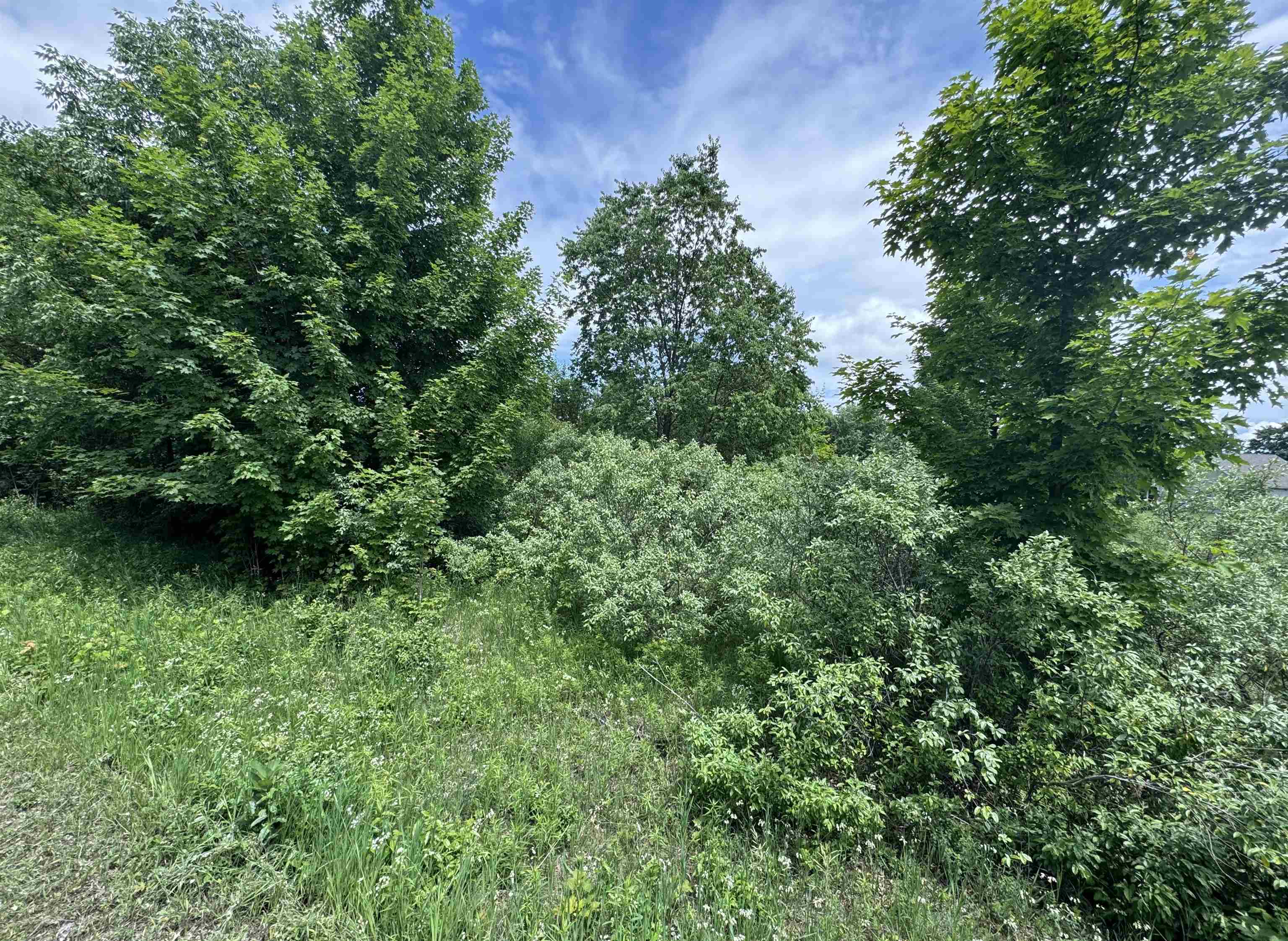 Lots 32 S Ski View Circle Property Photo 5