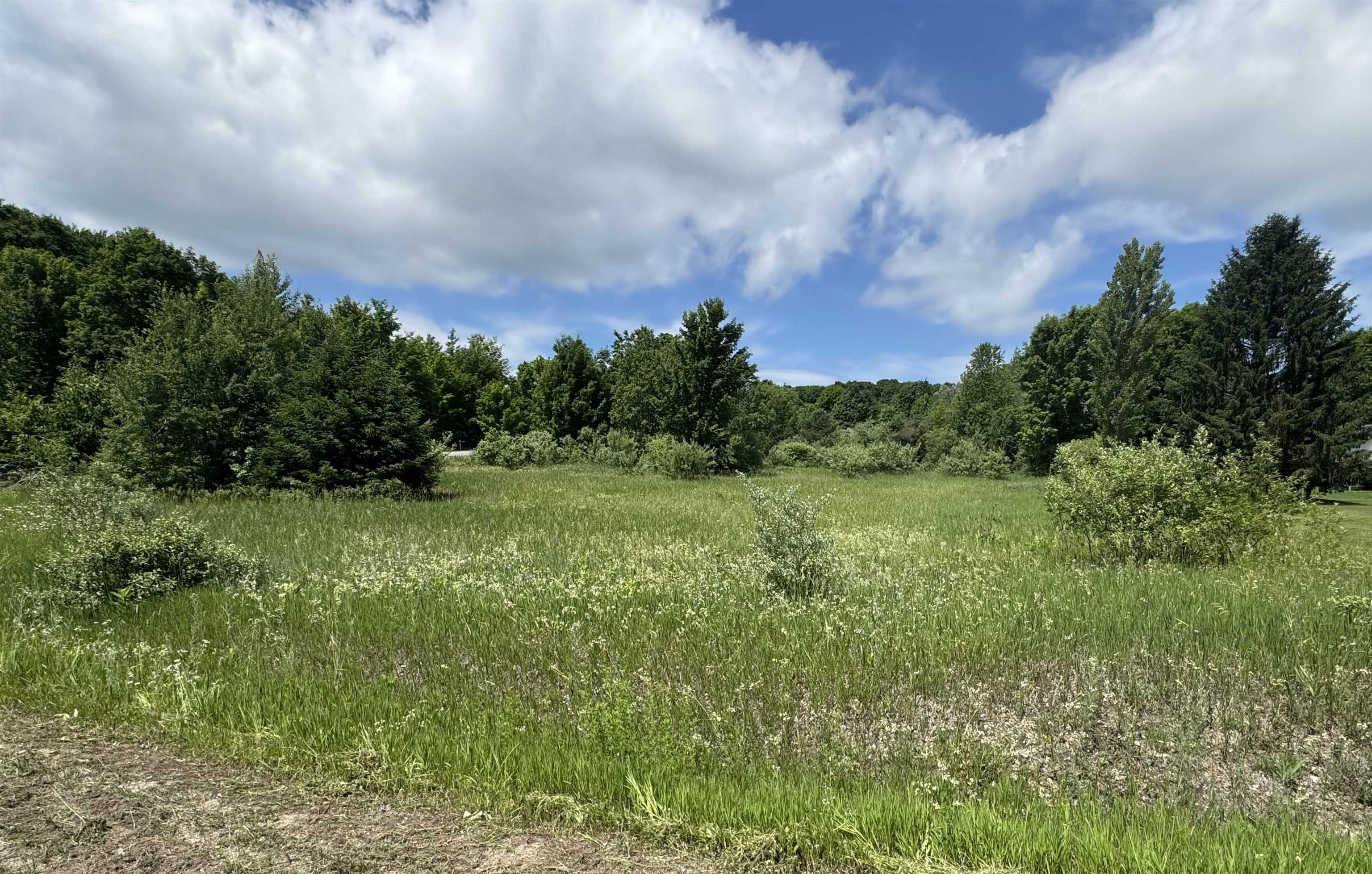 Lots 32 S Ski View Circle Property Photo 8
