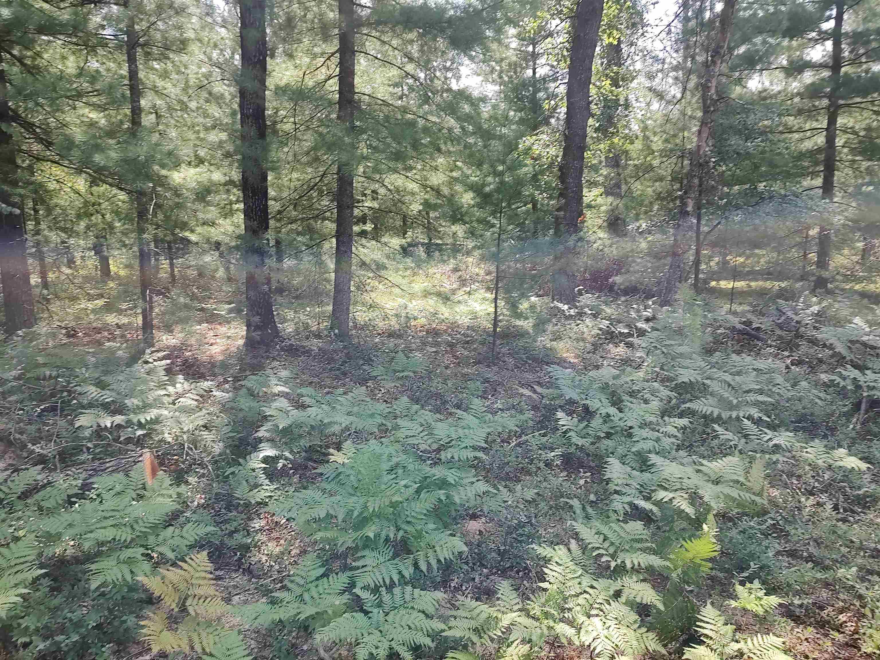 Lot 186 Winterset Drive Property Photo 1