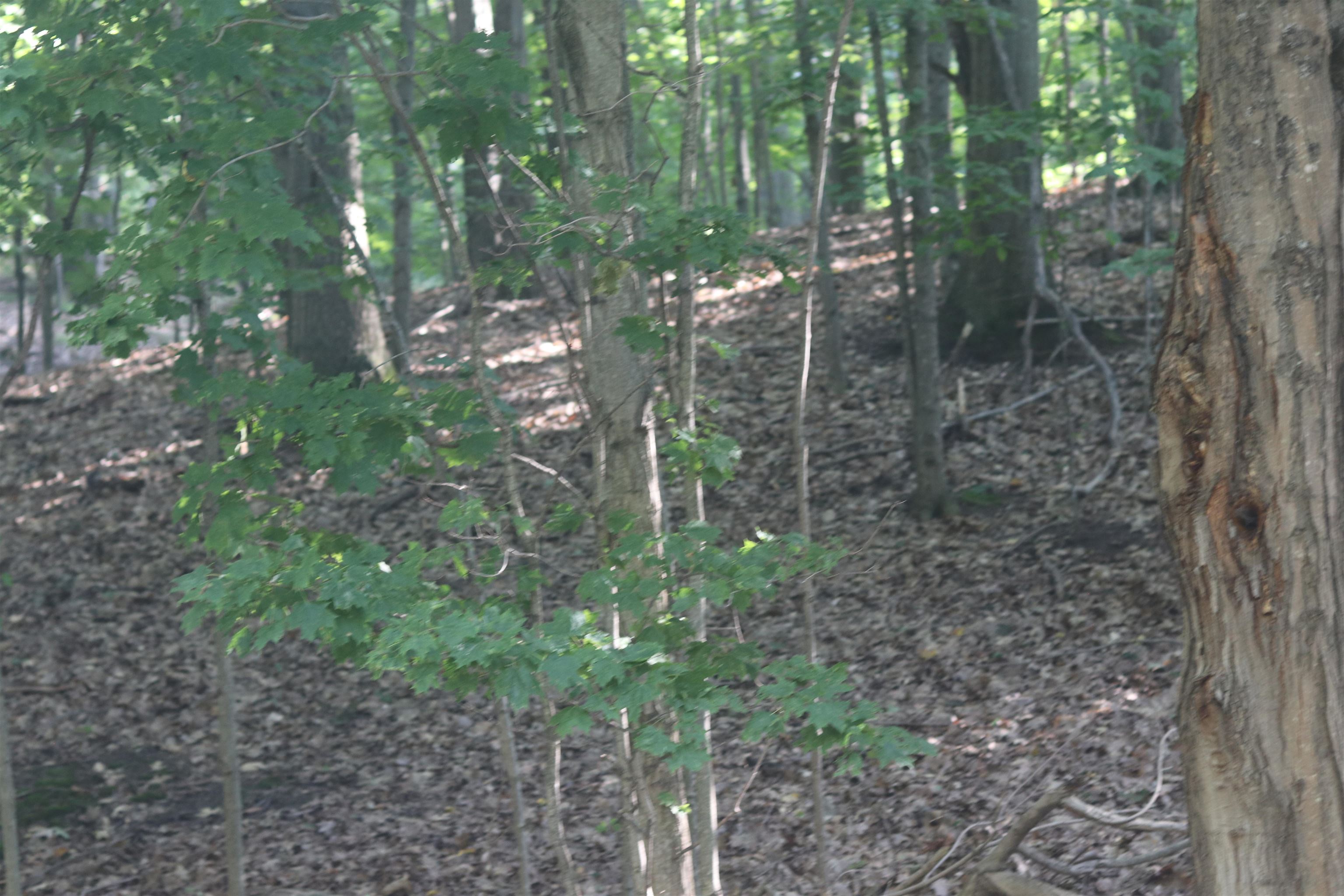 Lot 20 Crystal View Commons Property Photo 1