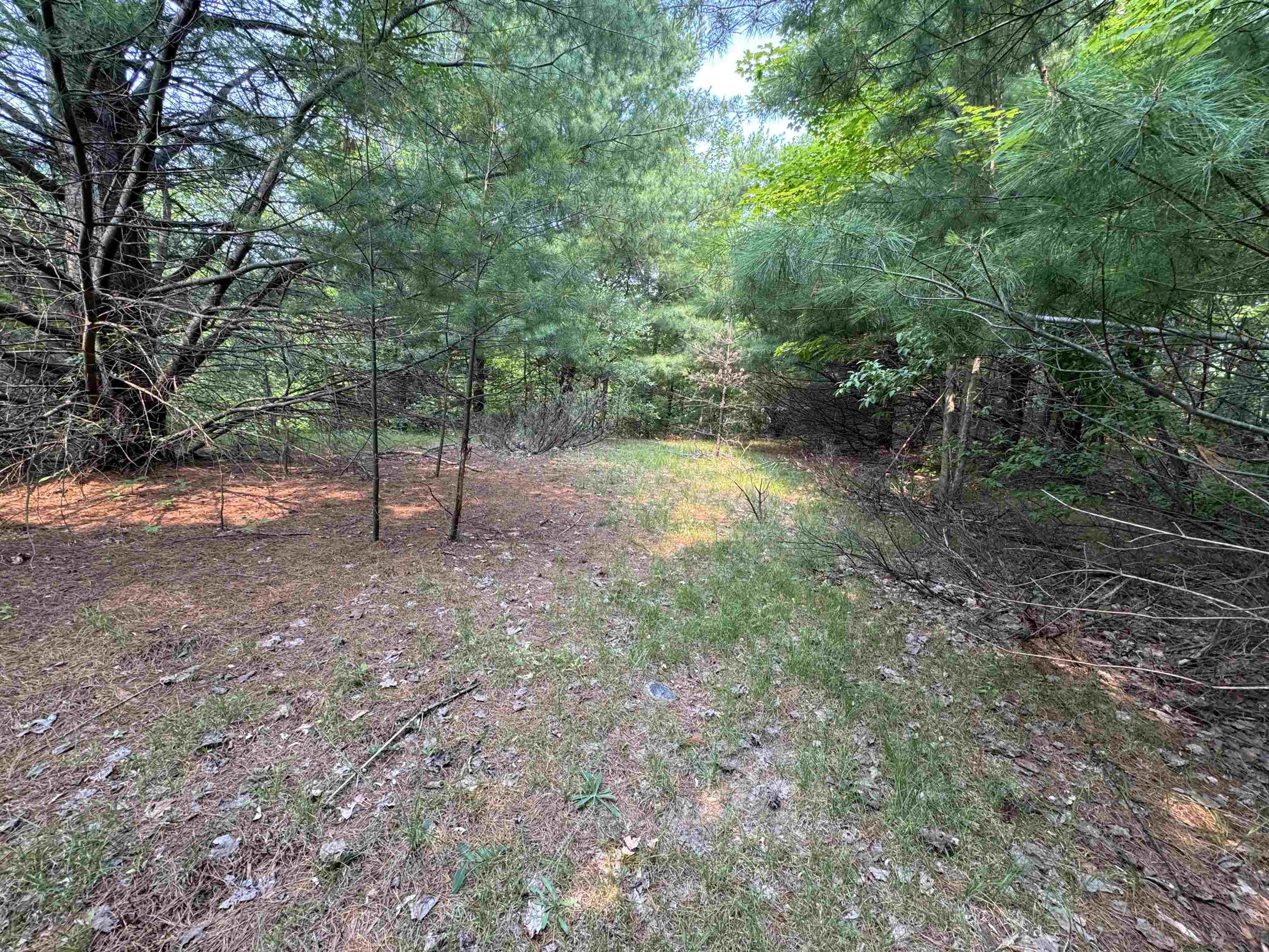 Lot #1 E Bellinger Road Property Photo 4