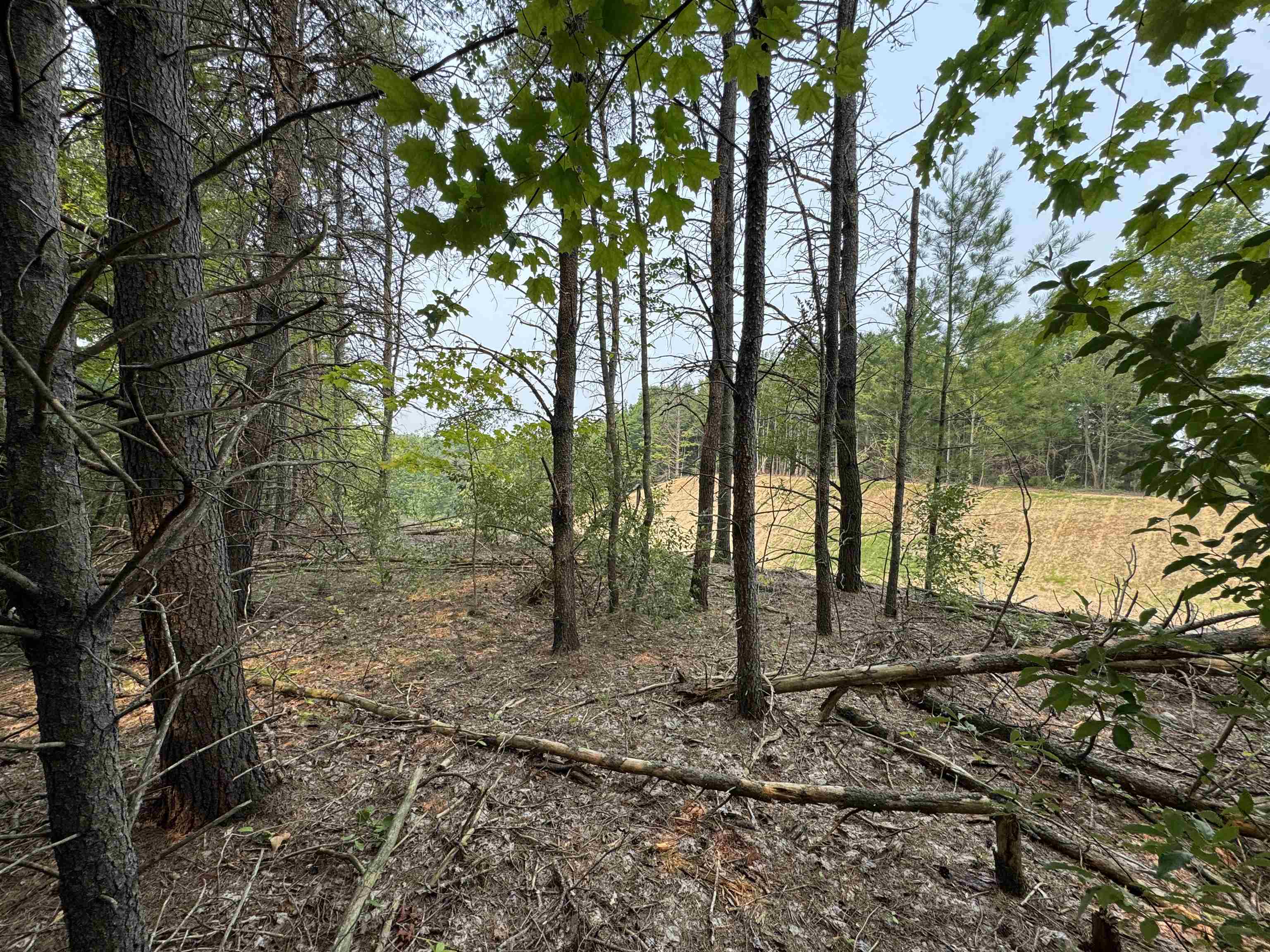 Lot #1 E Bellinger Road Property Photo 5