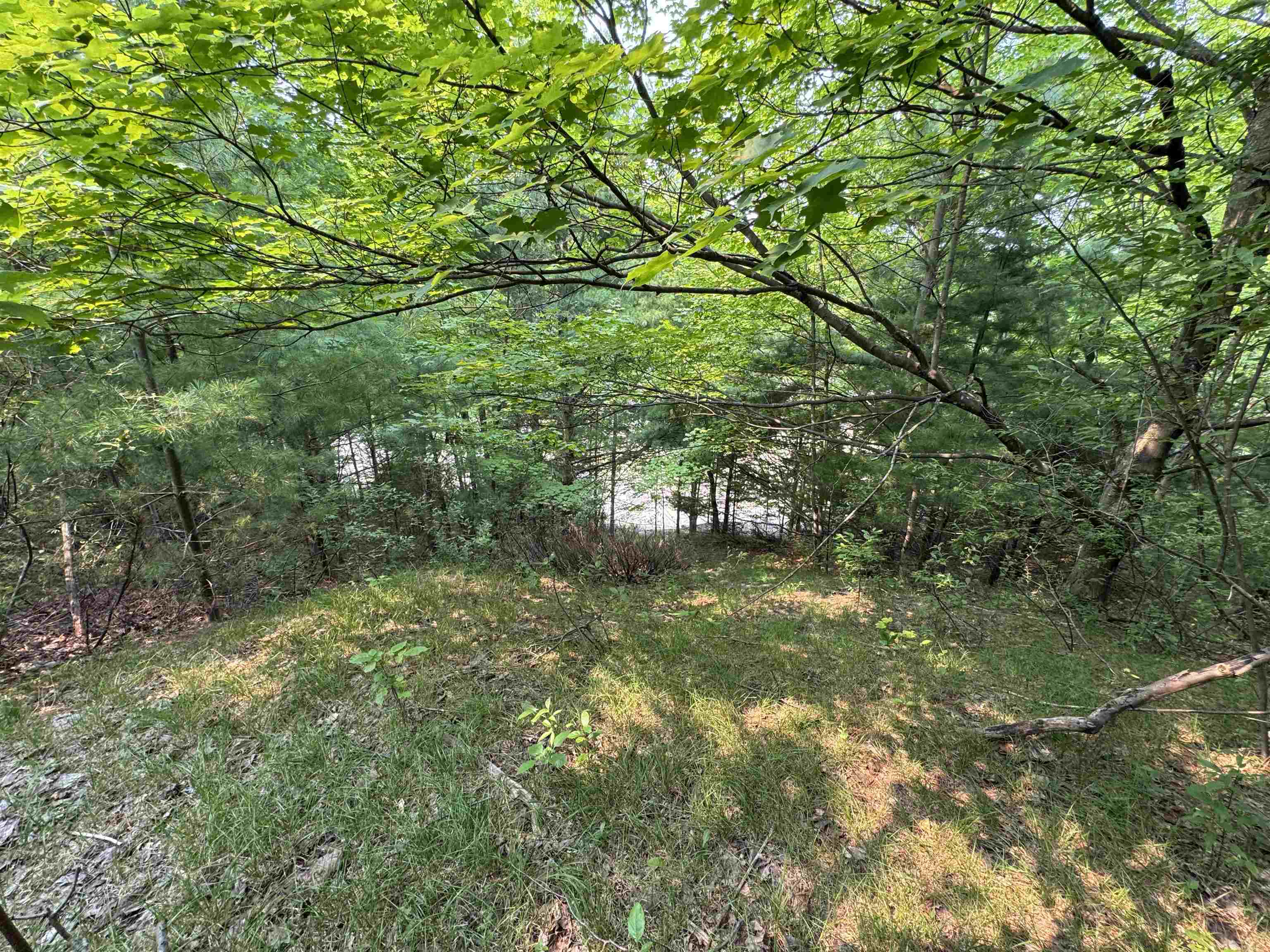 Lot #1 E Bellinger Road Property Photo 6