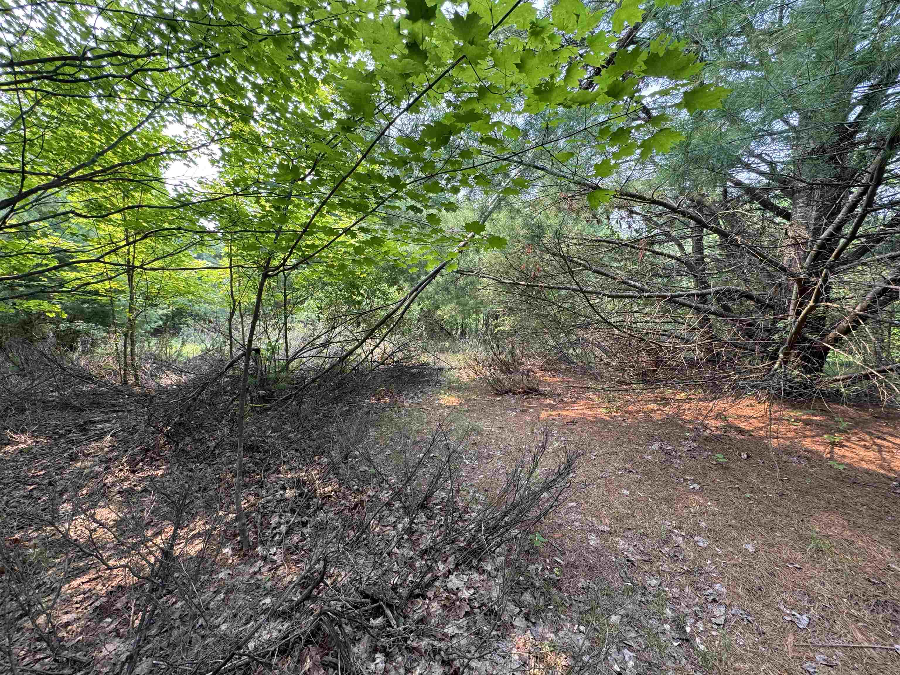 Lot #1 E Bellinger Road Property Photo 7