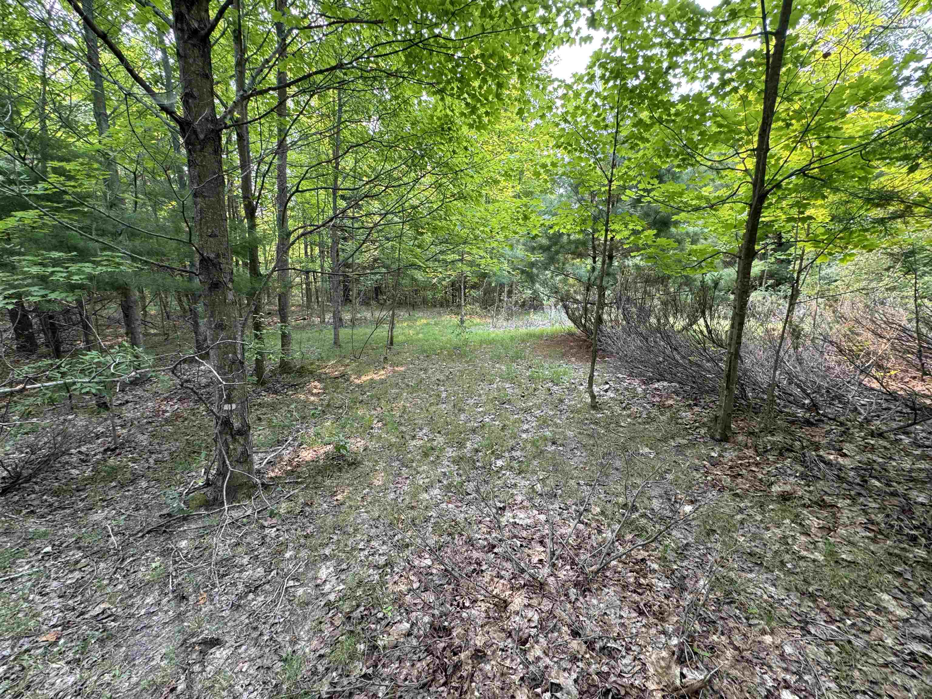 Lot #1 E Bellinger Road Property Photo 8