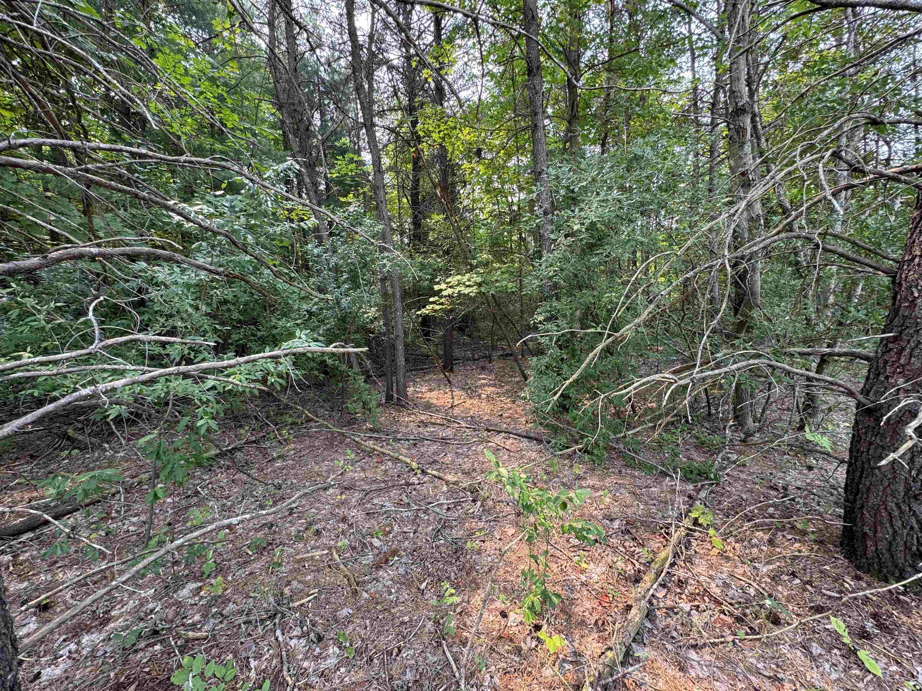 Lot #1 E Bellinger Road Property Photo 9
