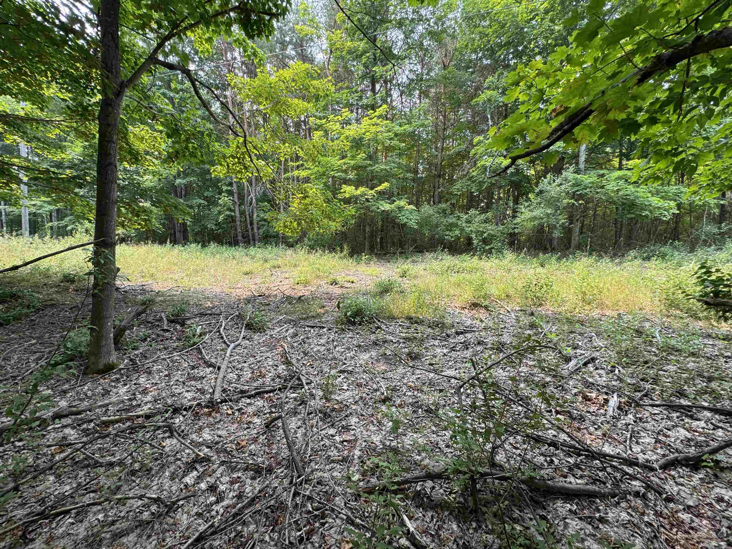 Lot #2 E Bellinger Road Property Photo 6