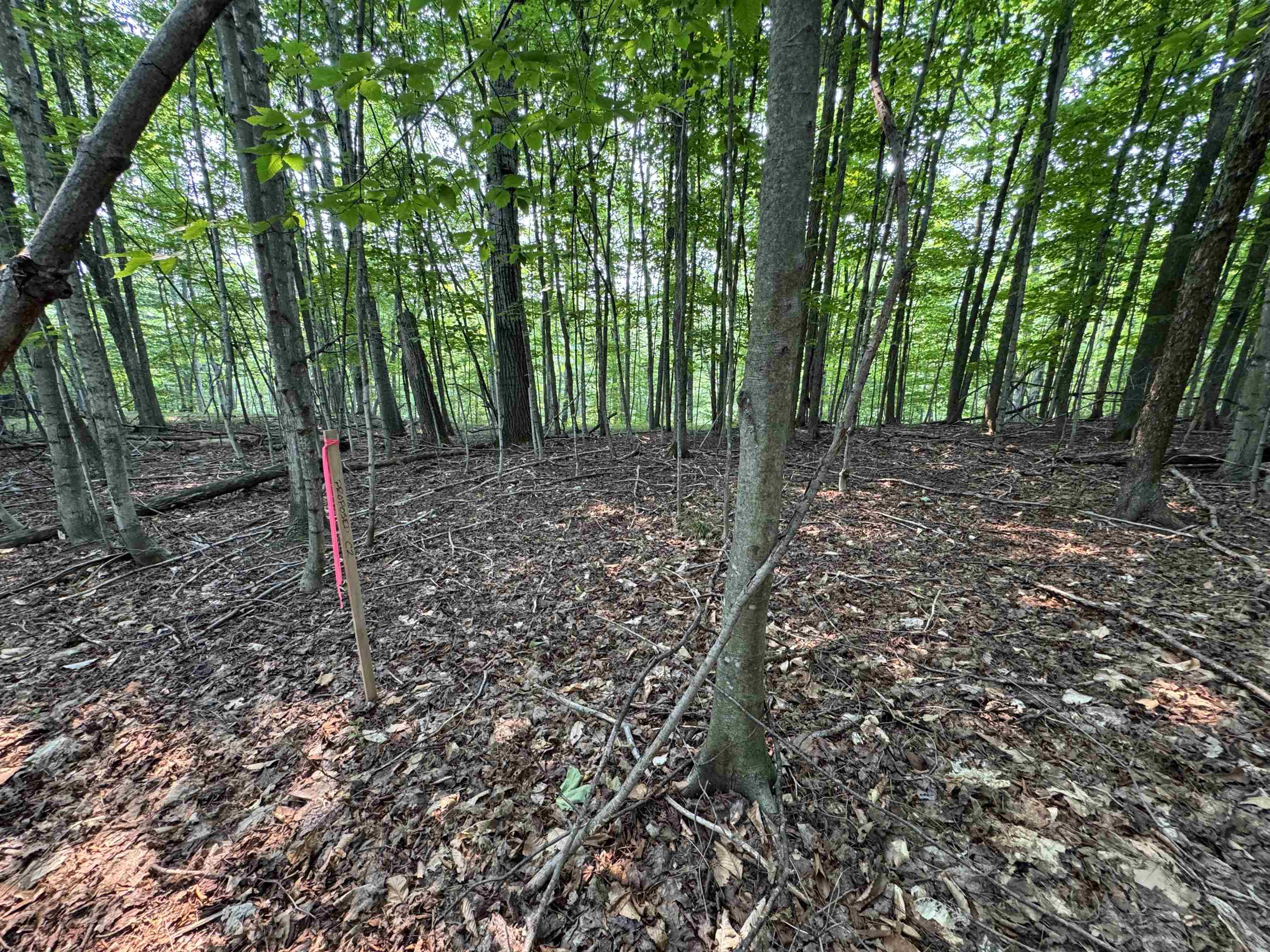 Lot #2 E Bellinger Road Property Photo 7