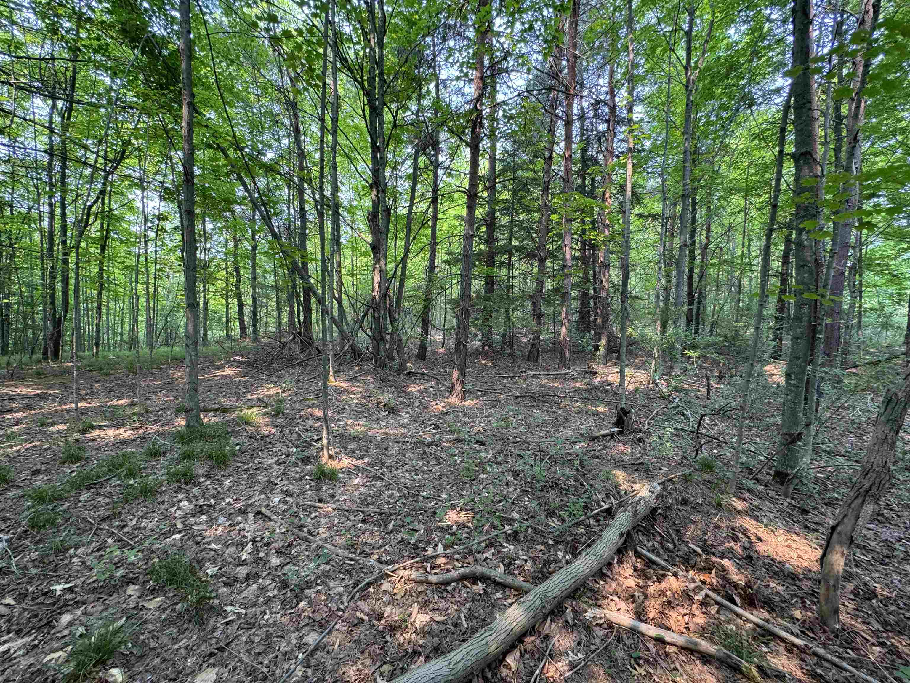 Lot #2 E Bellinger Road Property Photo 9