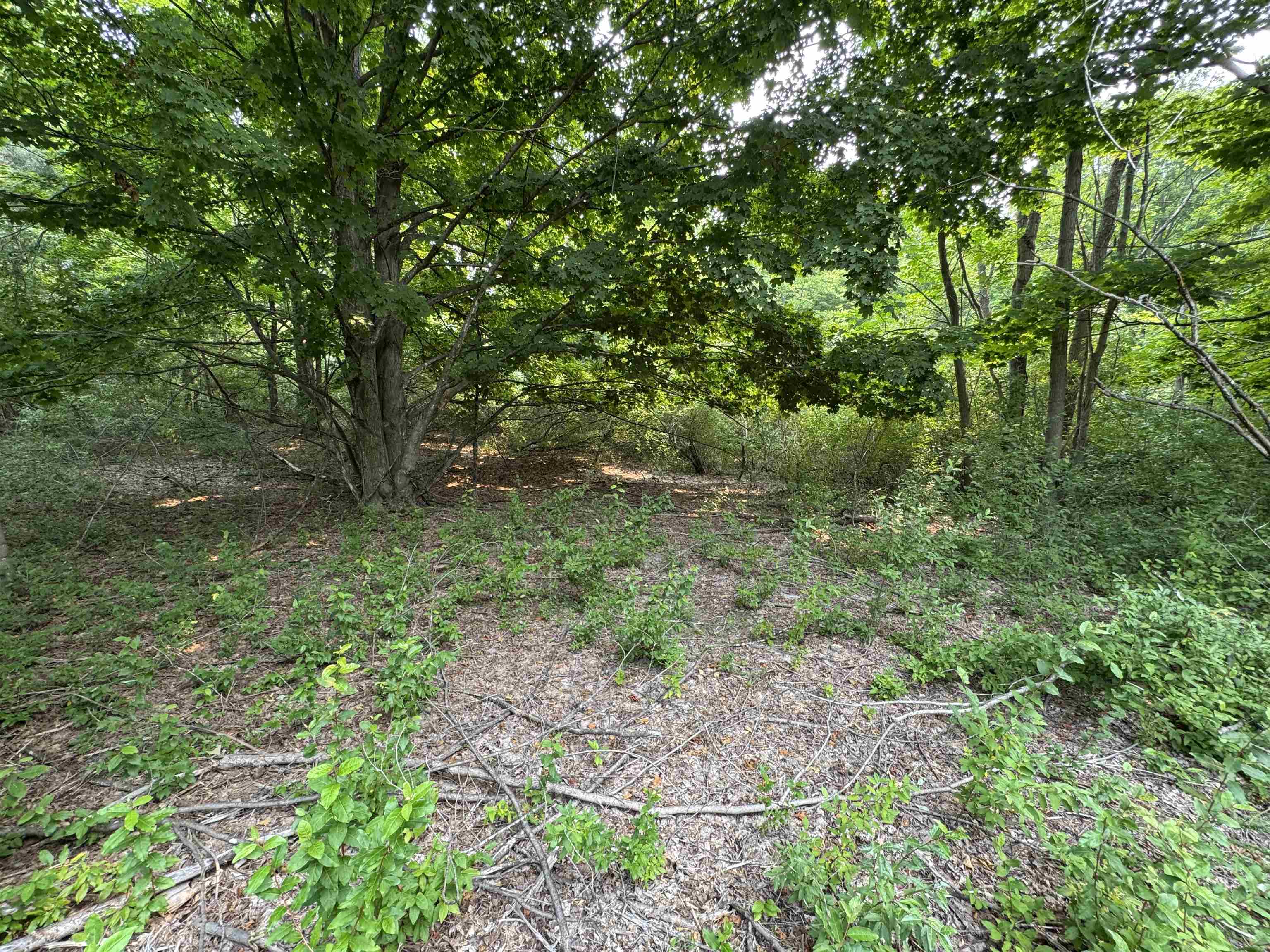 Lot #2 E Bellinger Road Property Photo 10