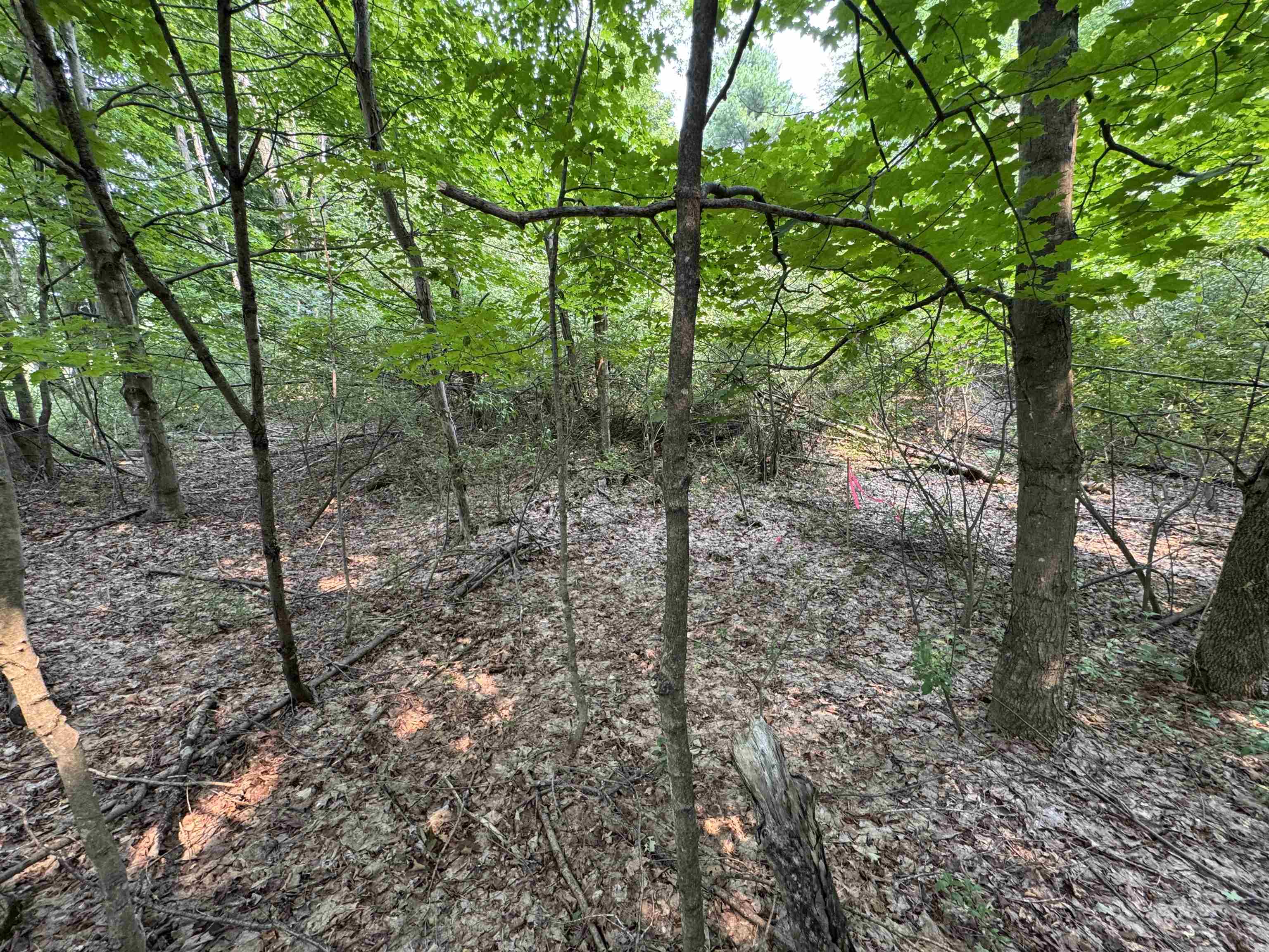 Lot #2 E Bellinger Road Property Photo 11