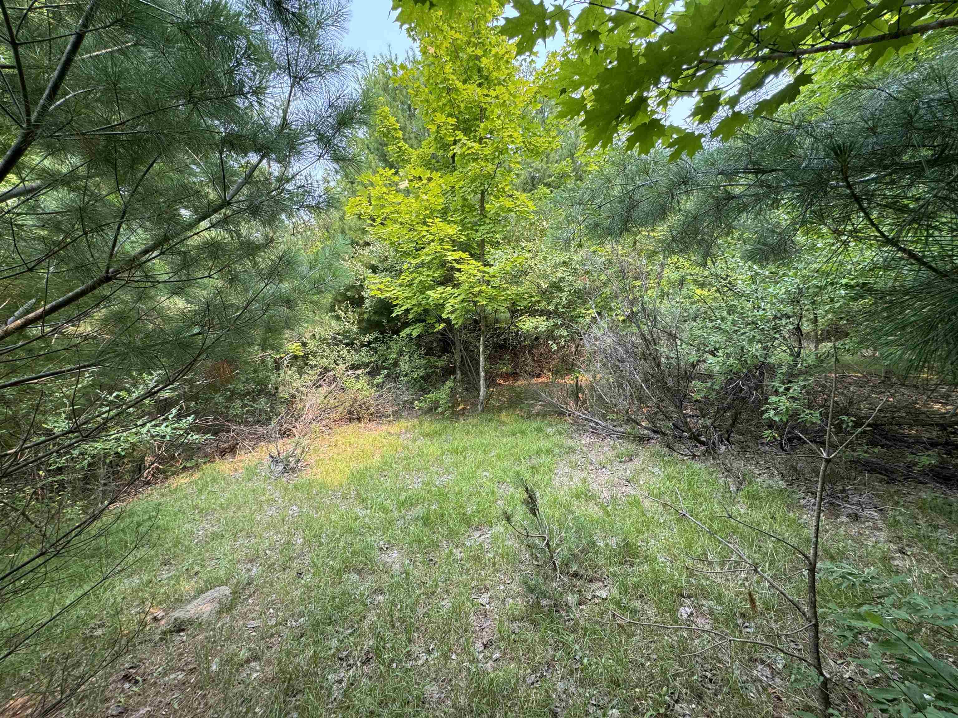 Lot #2 E Bellinger Road Property Photo 12