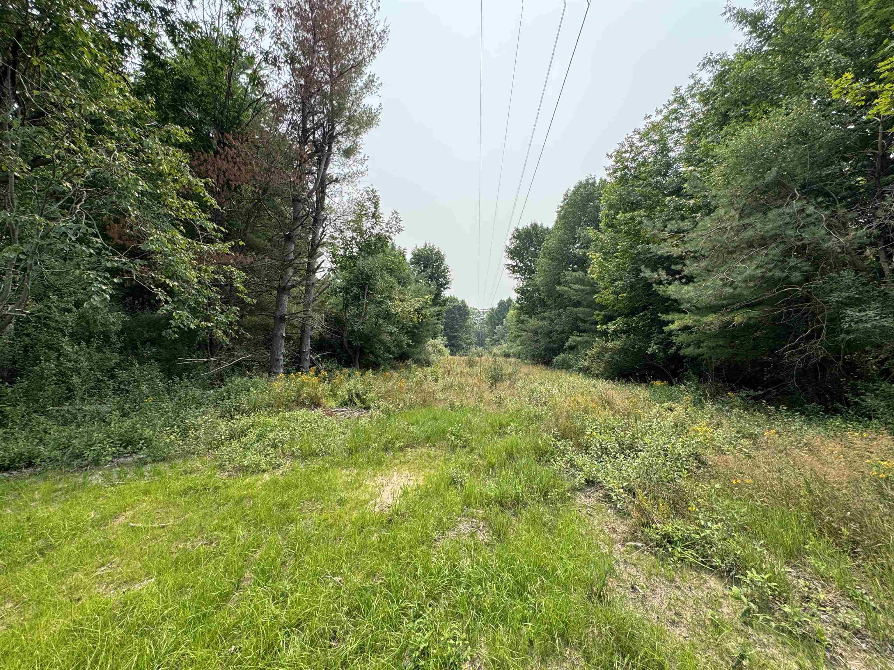 Lot #2 E Bellinger Road Property Photo 13