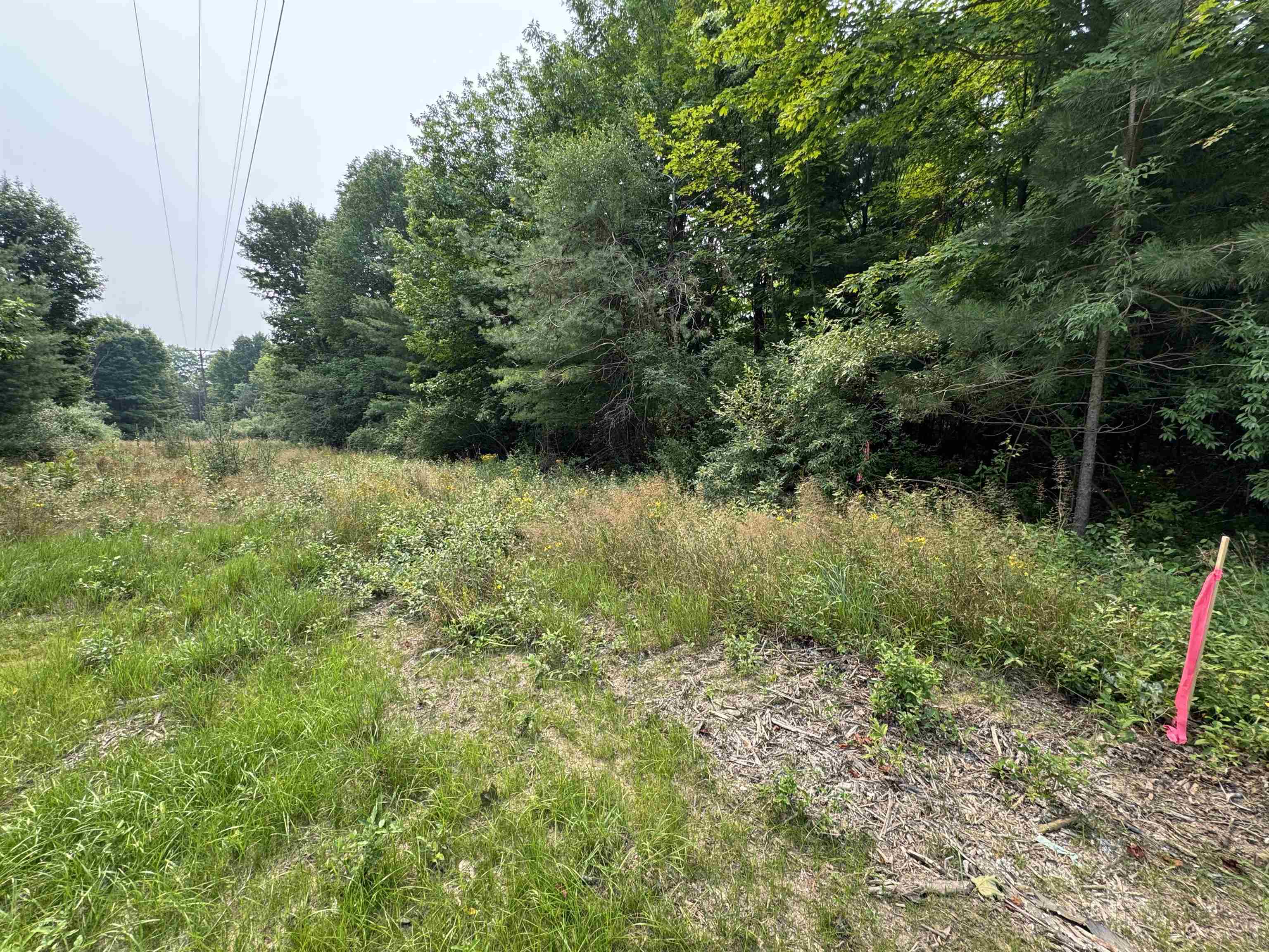 Lot #2 E Bellinger Road Property Photo 14