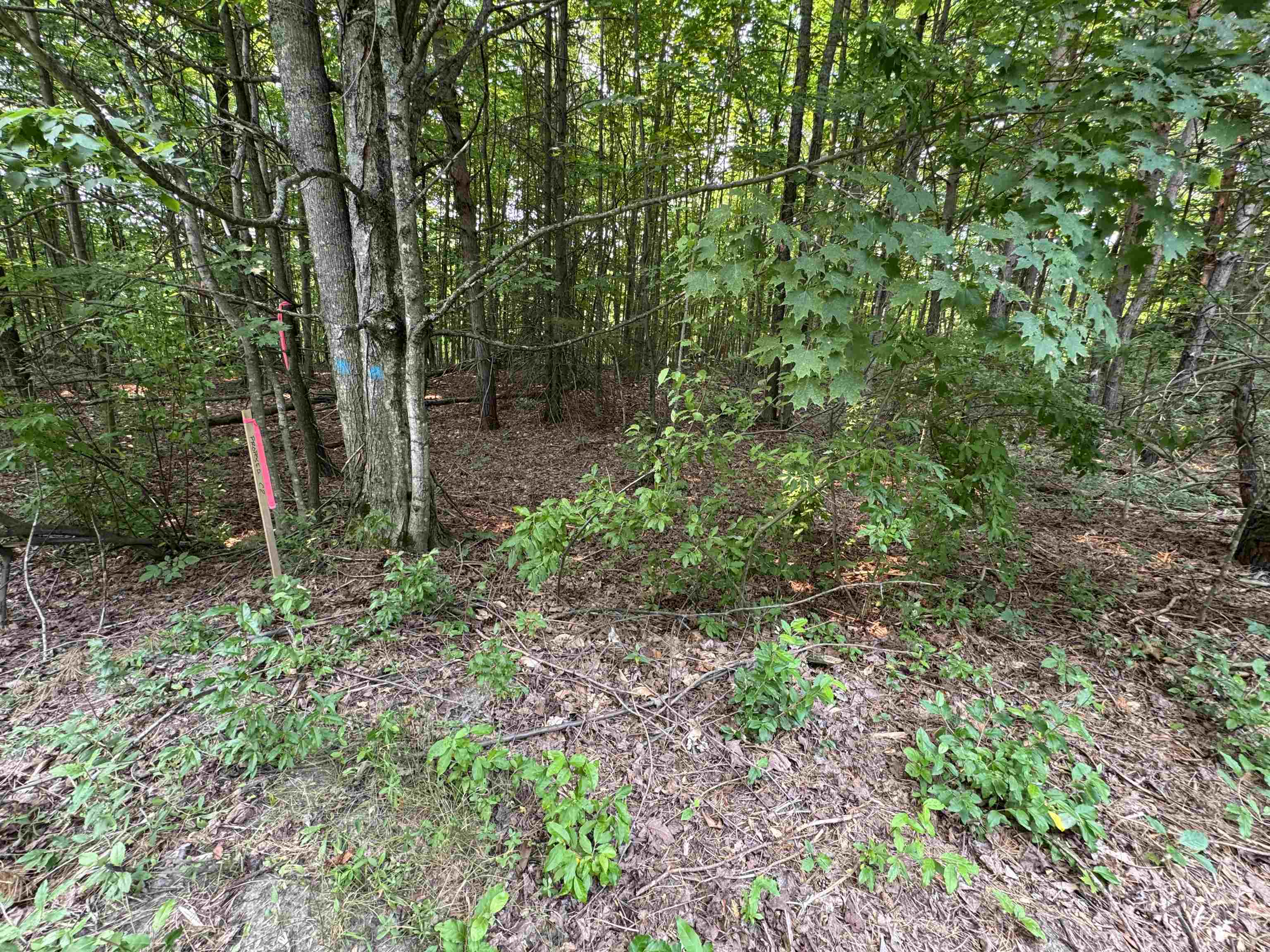 Lot #2 E Bellinger Road Property Photo 15