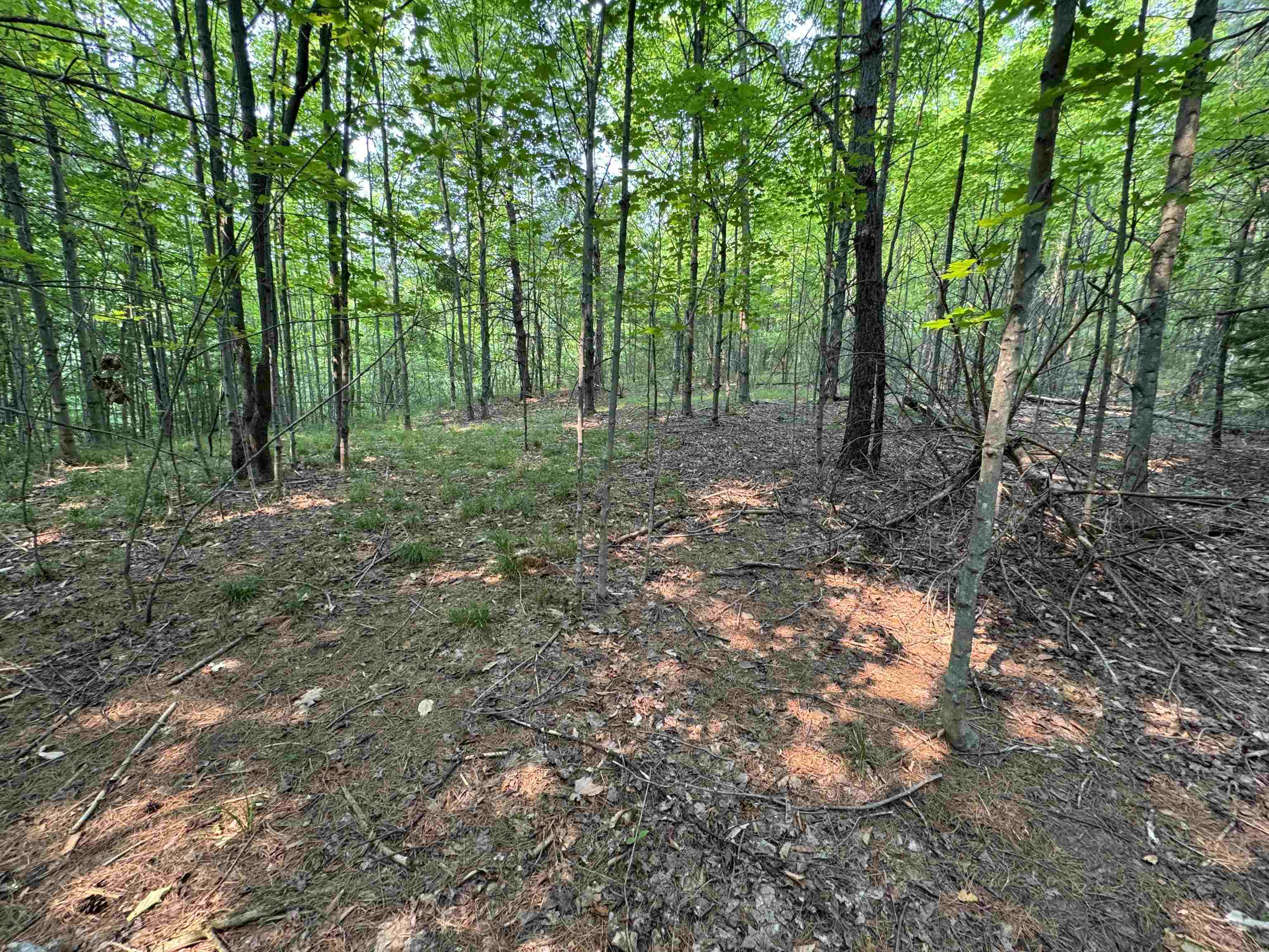 Lot #2 E Bellinger Road Property Photo 16