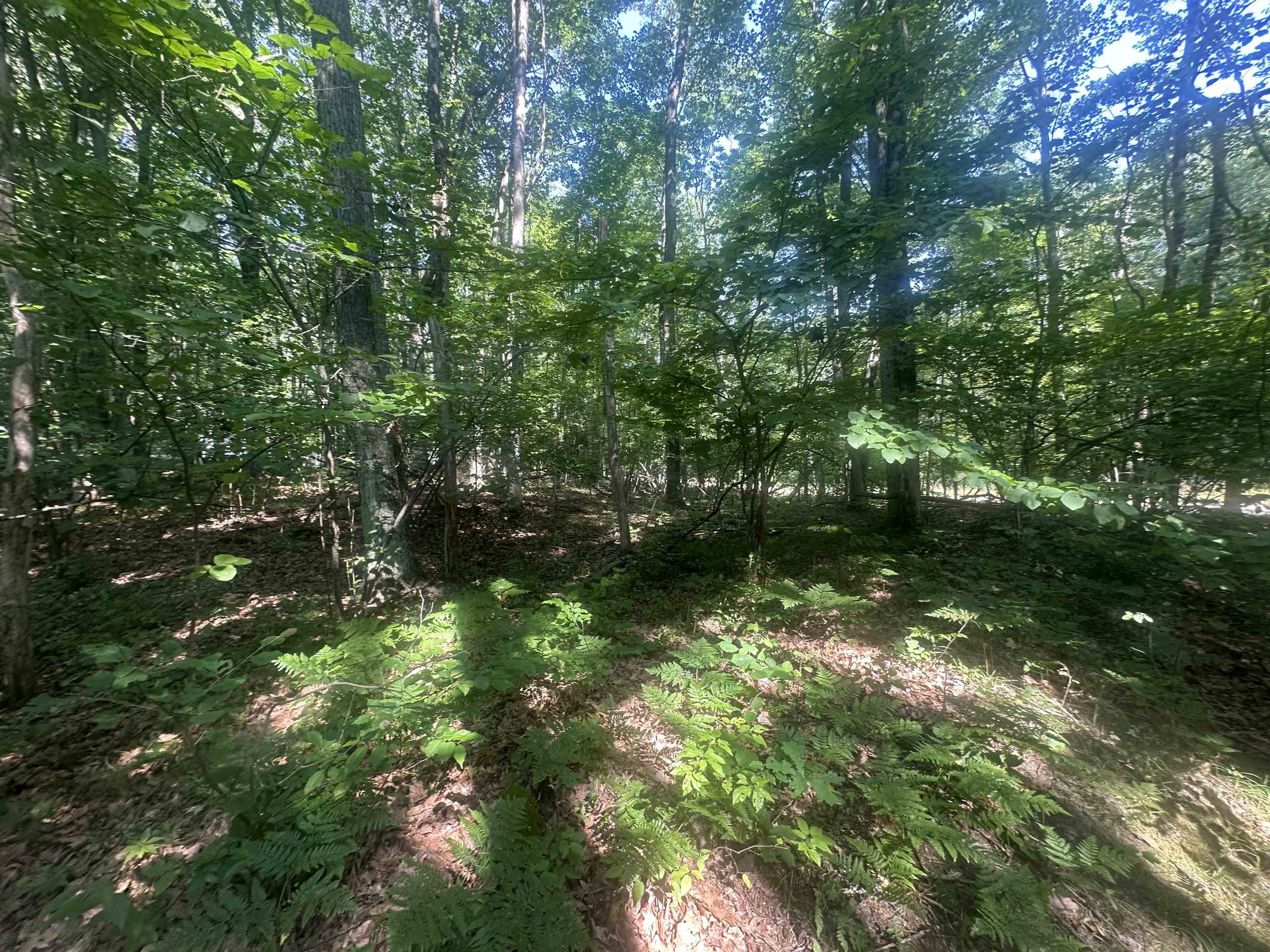 Lot # 179 Mockingbird Circle Property Photo 2