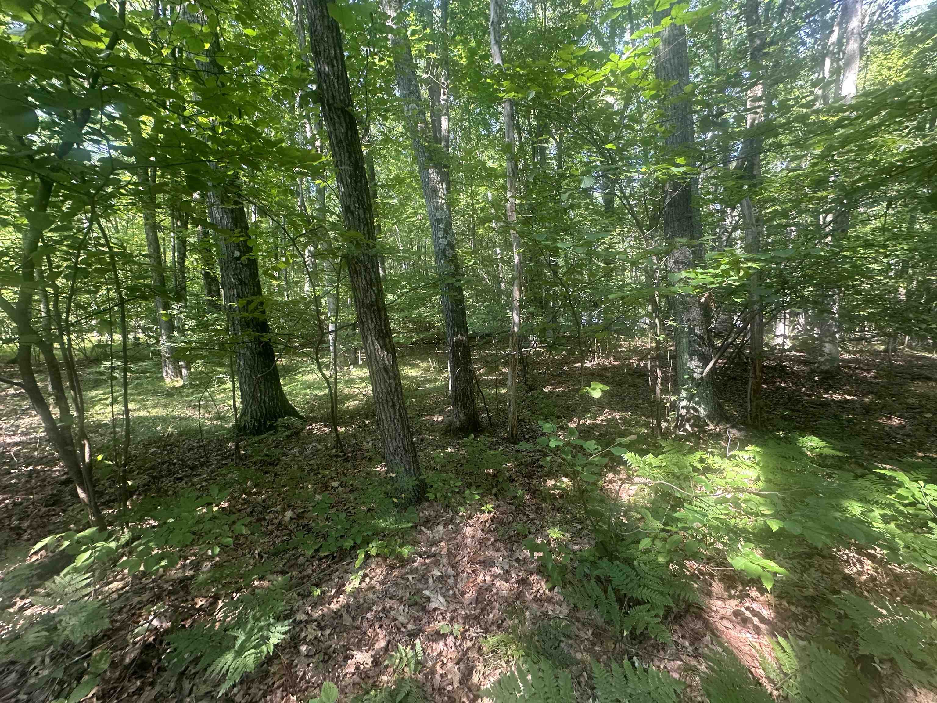 Lot # 179 Mockingbird Circle Property Photo 3